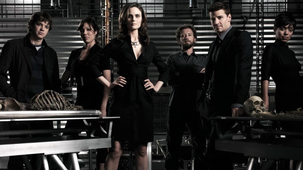 Immagine Poster serie TV 50 Bones