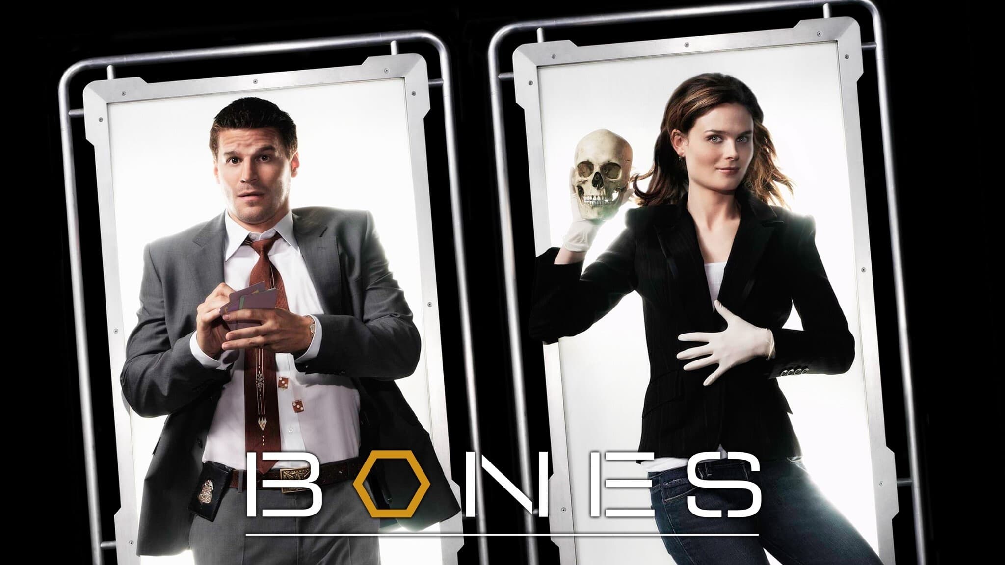 Immagine Poster serie TV 78 Bones