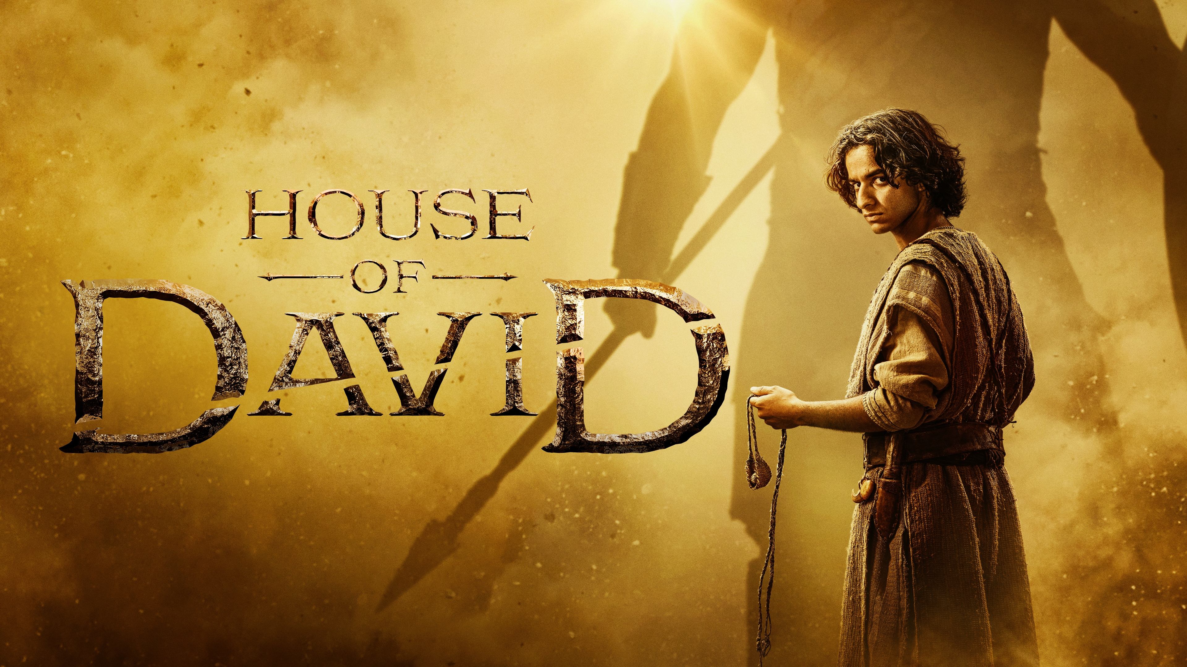Immagine Poster serie TV 1 La casa di Davide