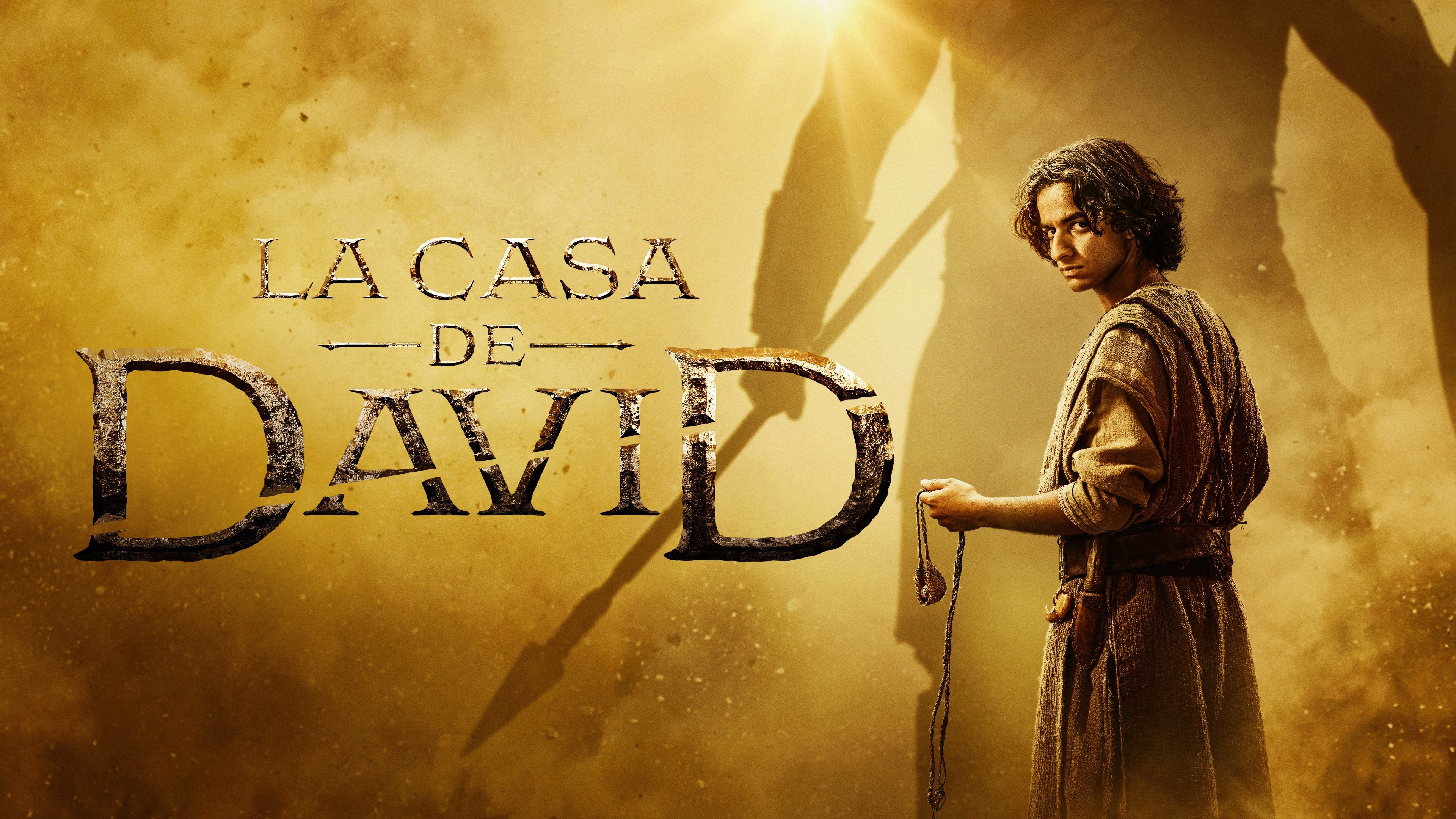 Immagine Poster serie TV 10 La casa di Davide