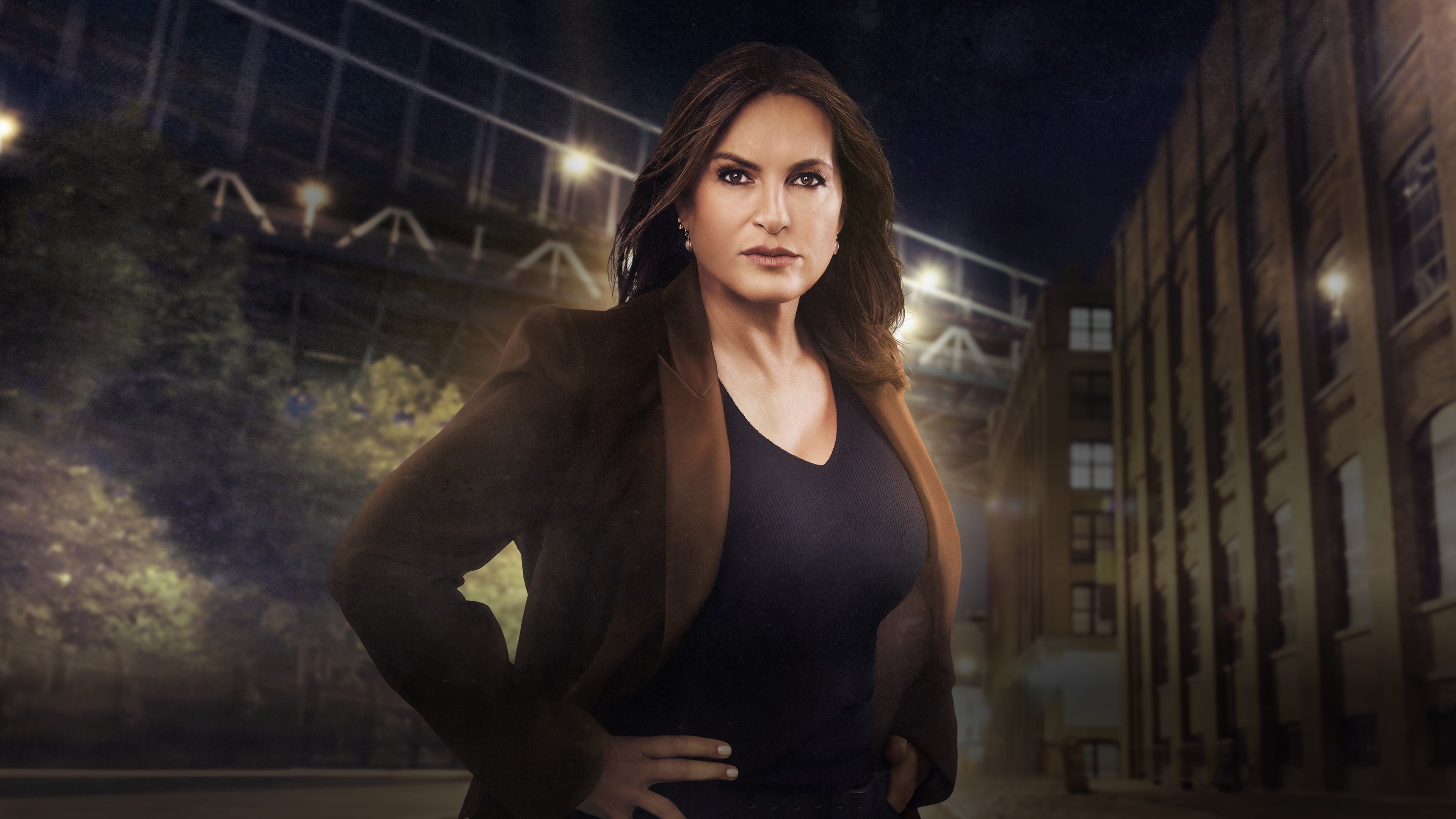 Immagine Poster serie TV 35 Law & Order - Unità vittime speciali
