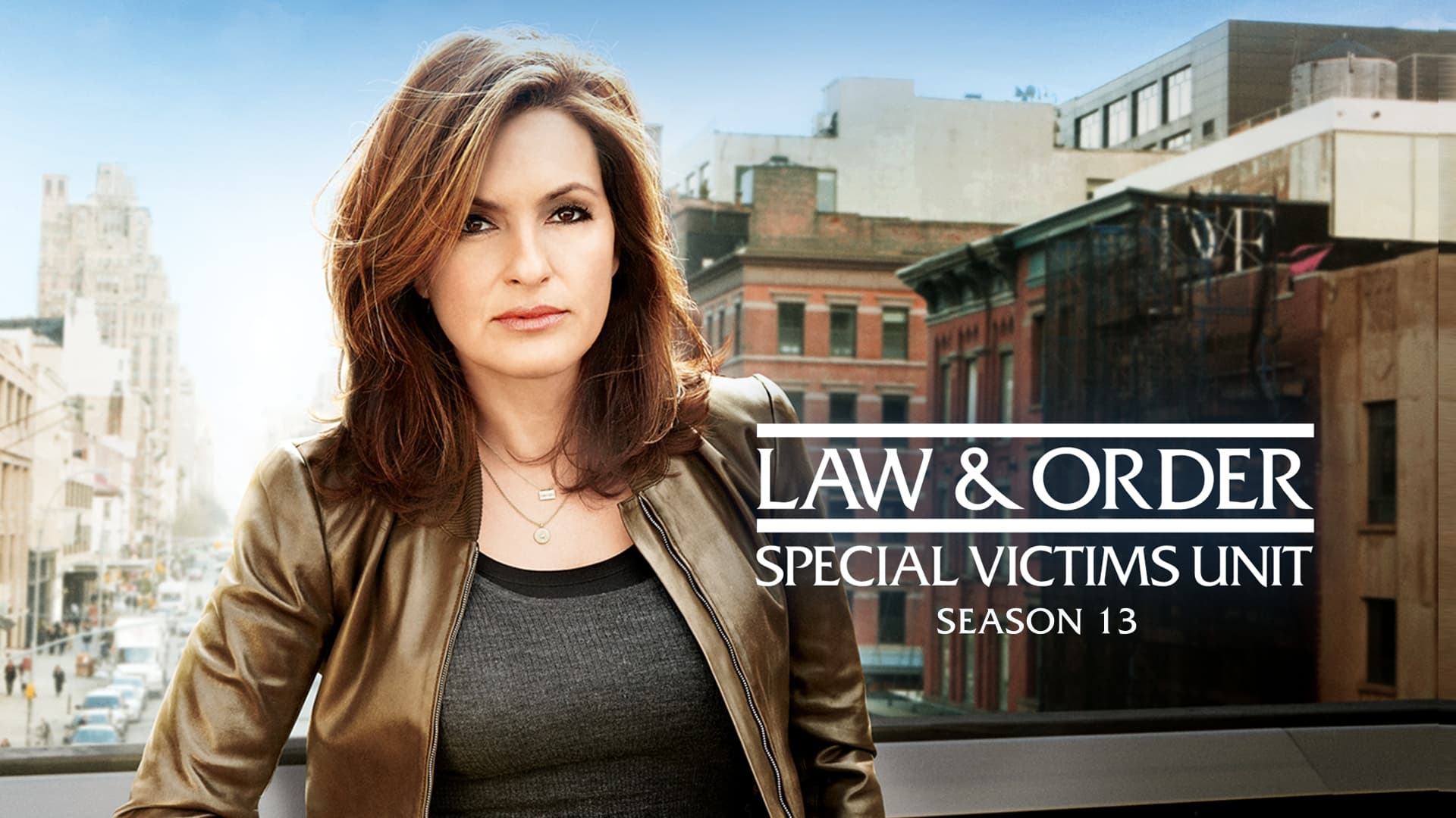 Immagine Poster serie TV 39 Law & Order - Unità vittime speciali