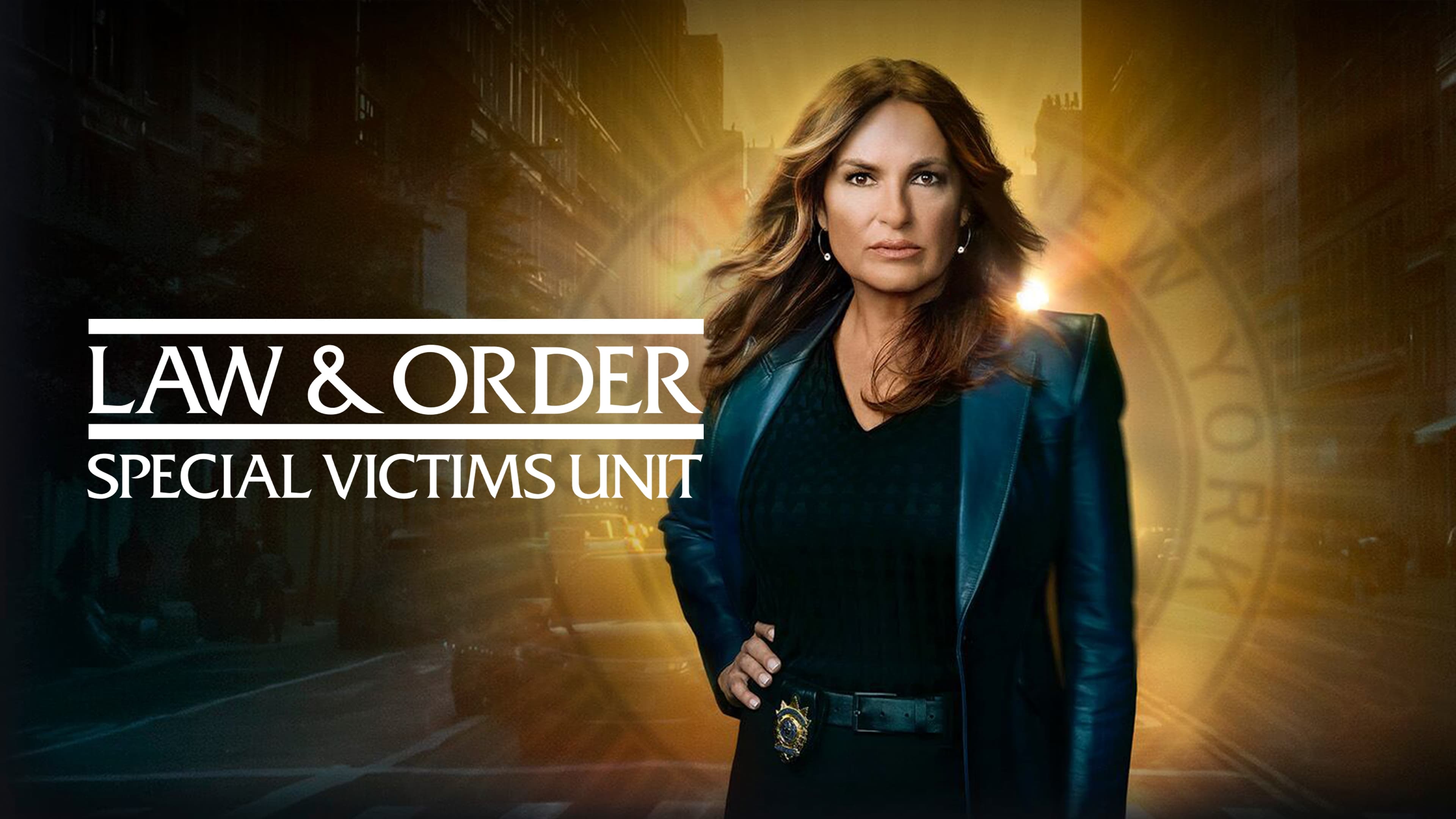 Immagine Poster serie TV 21 Law & Order - Unità vittime speciali