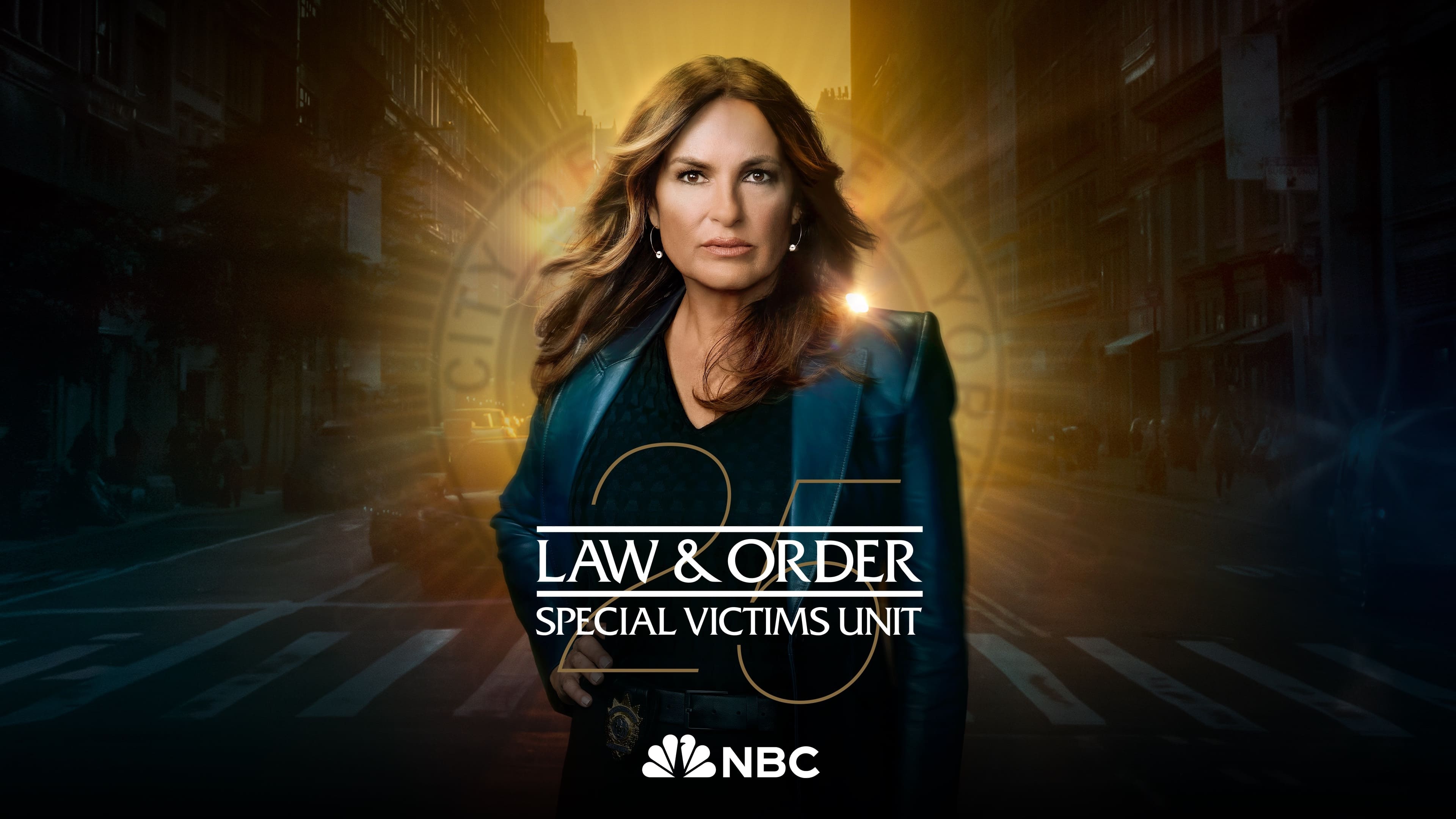 Immagine Poster serie TV 23 Law & Order - Unità vittime speciali