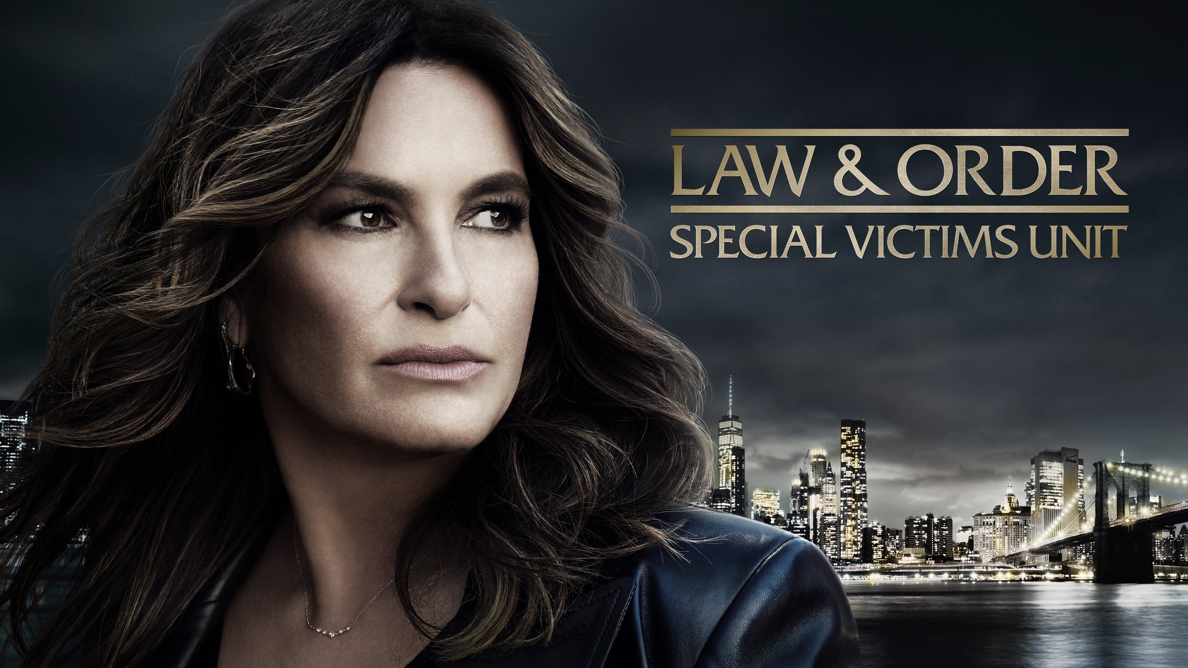 Immagine Poster serie TV 24 Law & Order - Unità vittime speciali