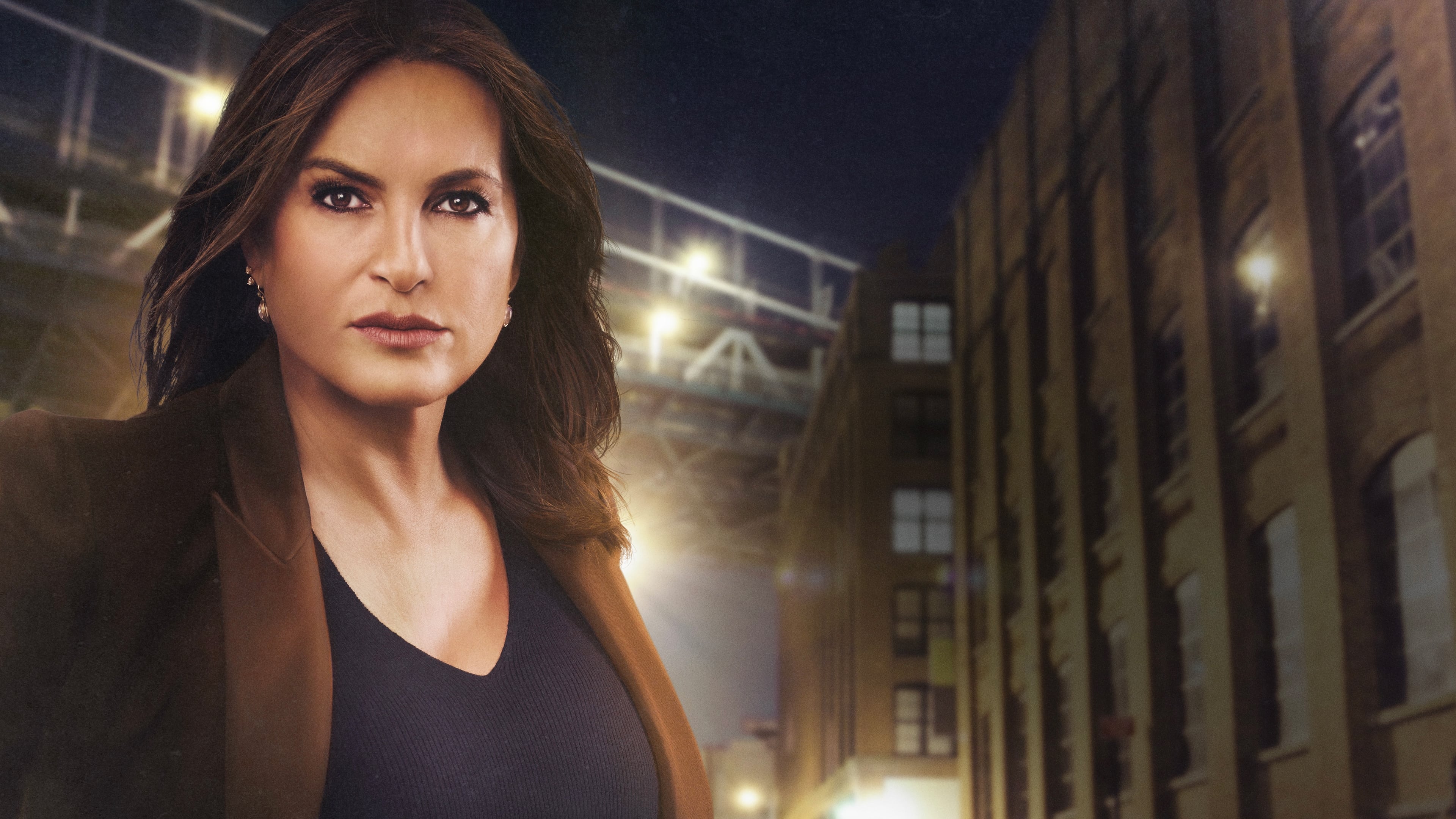 Immagine Poster serie TV 42 Law & Order - Unità vittime speciali