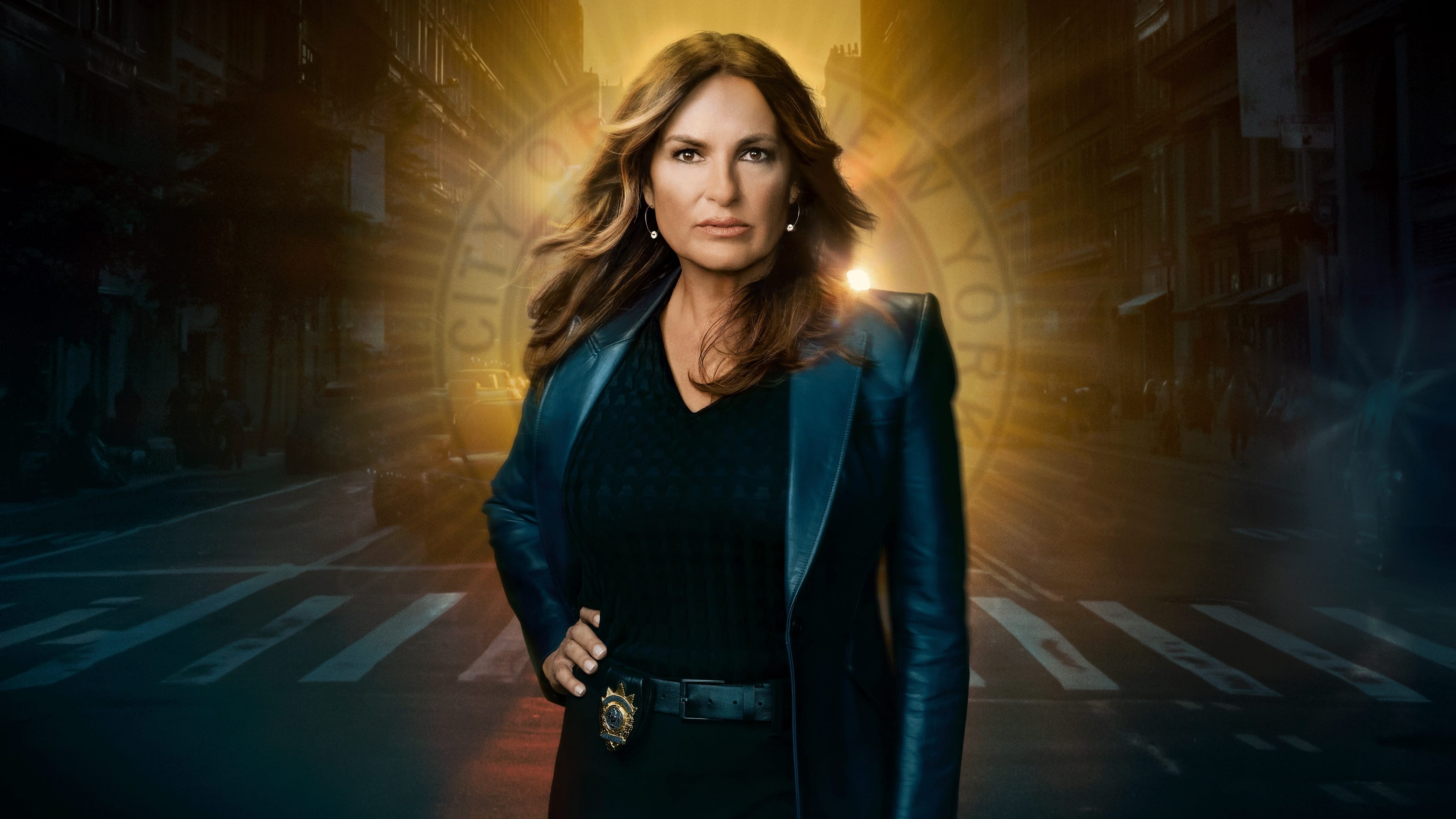 Immagine Poster serie TV 115 Law & Order - Unità vittime speciali