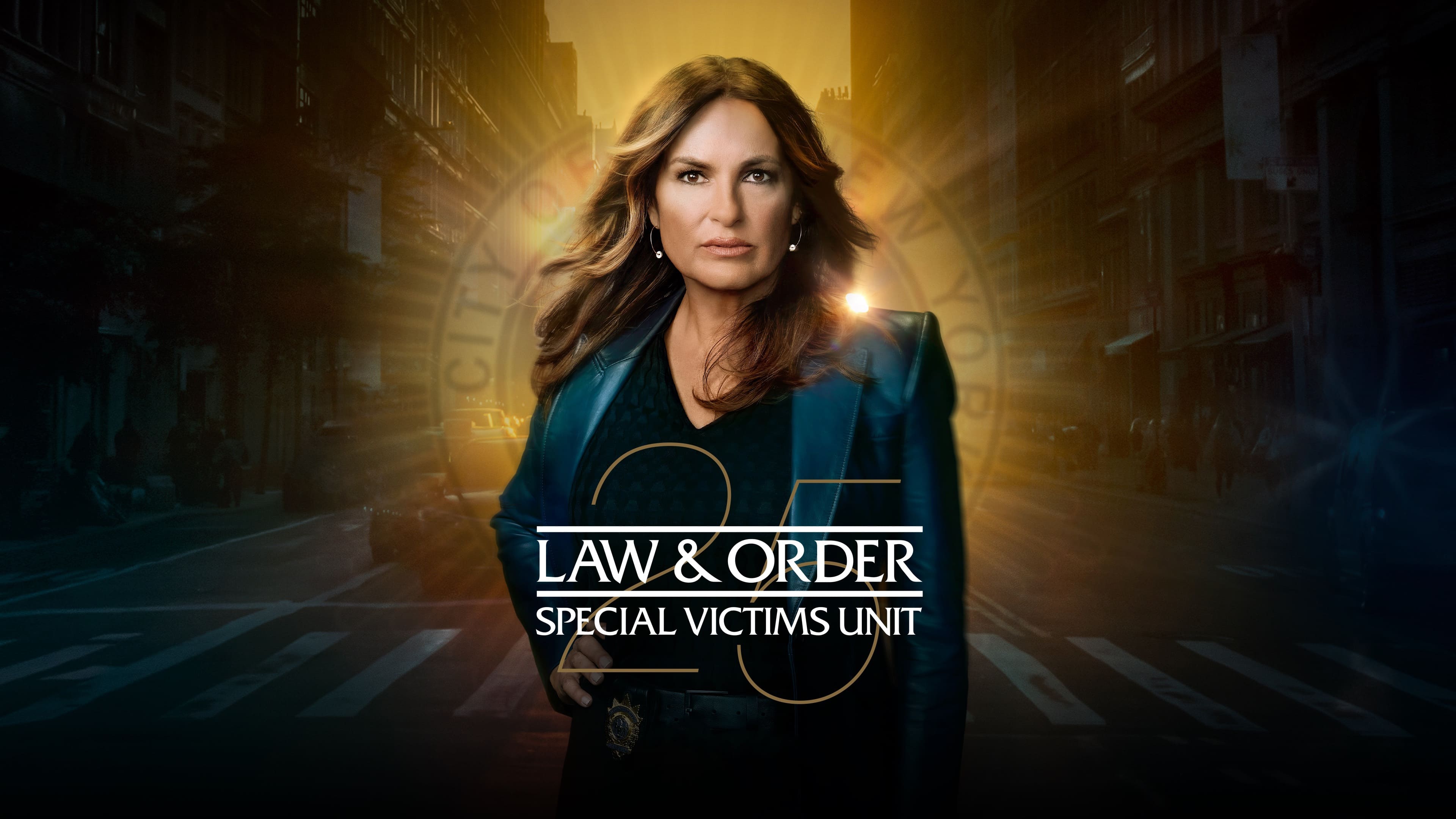 Immagine Poster serie TV 22 Law & Order - Unità vittime speciali