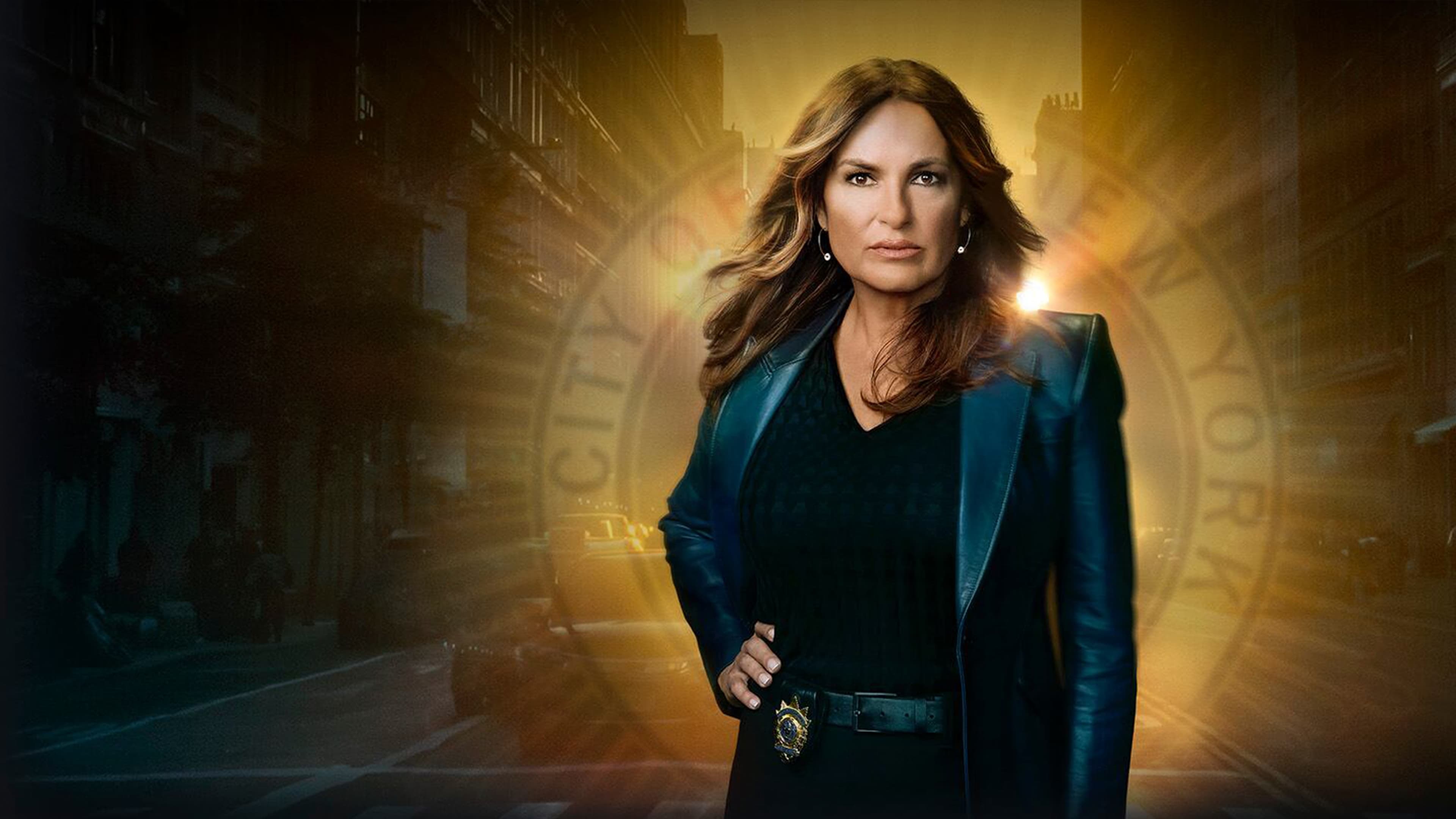 Immagine Poster serie TV 18 Law & Order - Unità vittime speciali