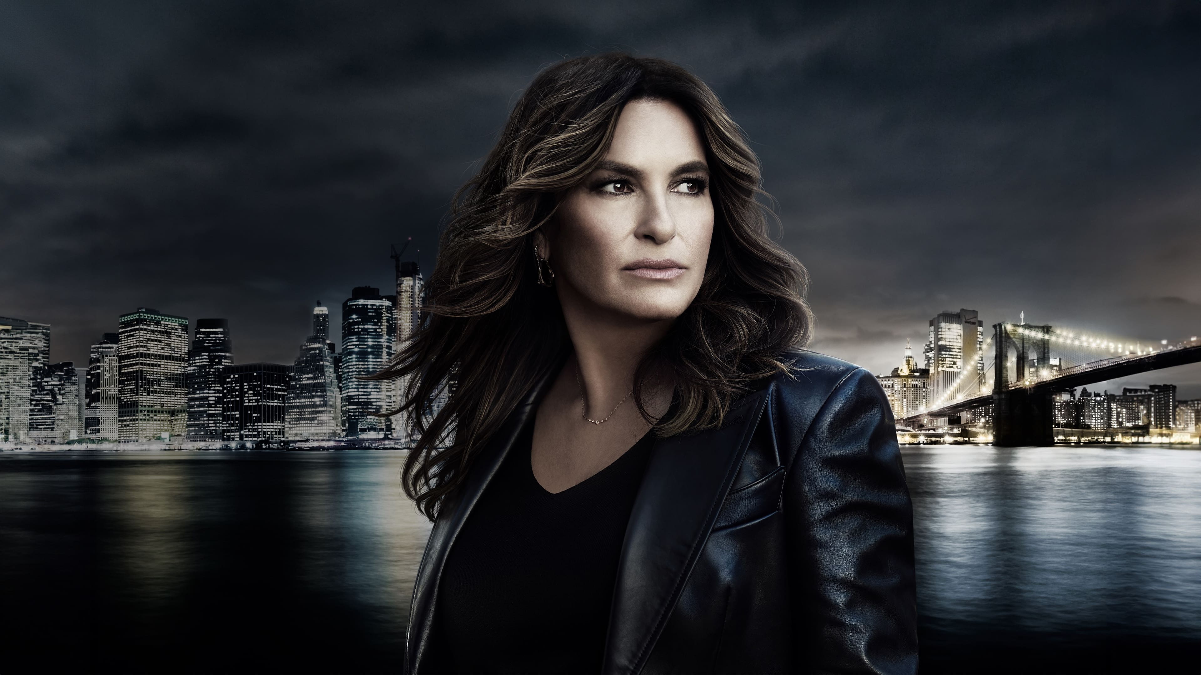 Immagine Poster serie TV 1 Law & Order - Unità vittime speciali
