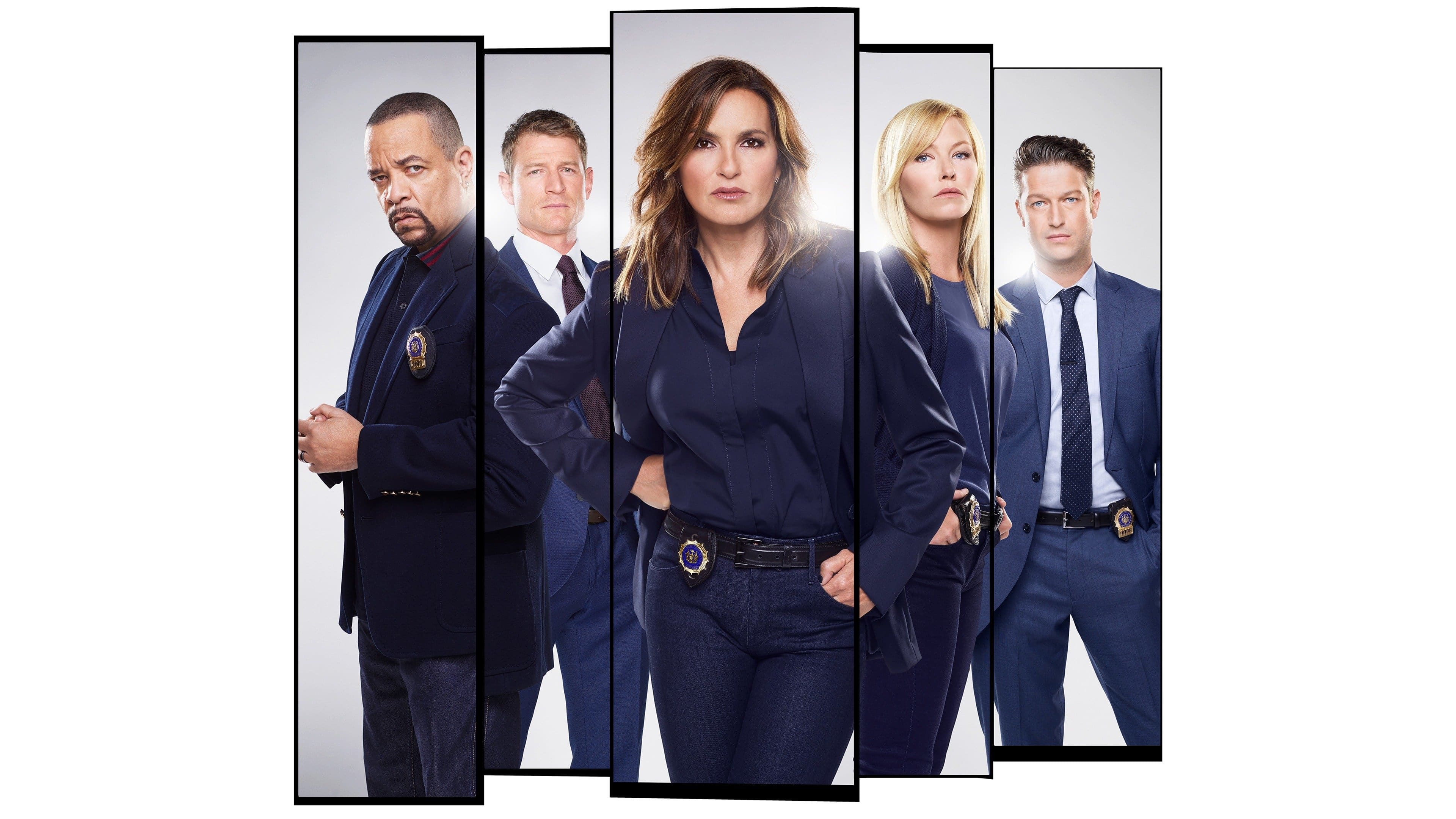 Immagine Poster serie TV 63 Law & Order - Unità vittime speciali