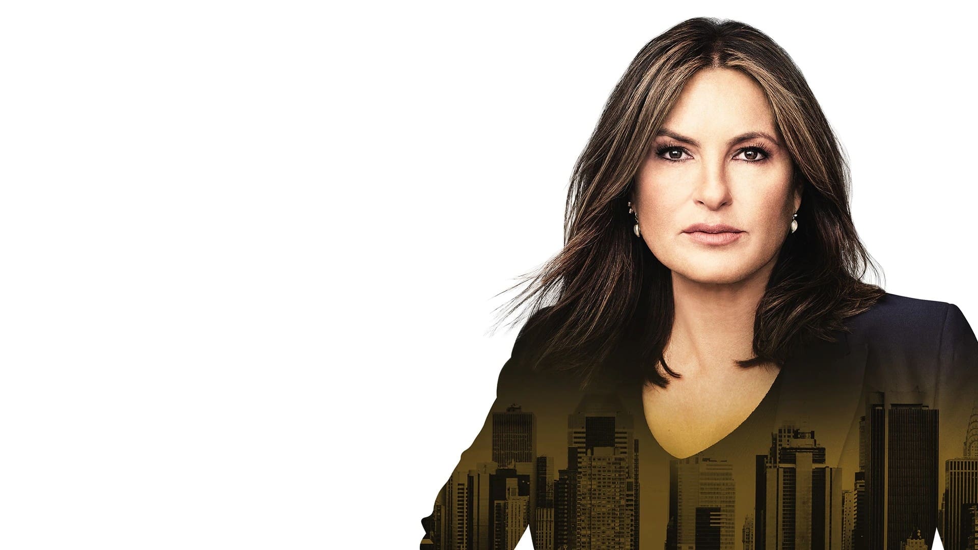 Immagine Poster serie TV 92 Law & Order - Unità vittime speciali