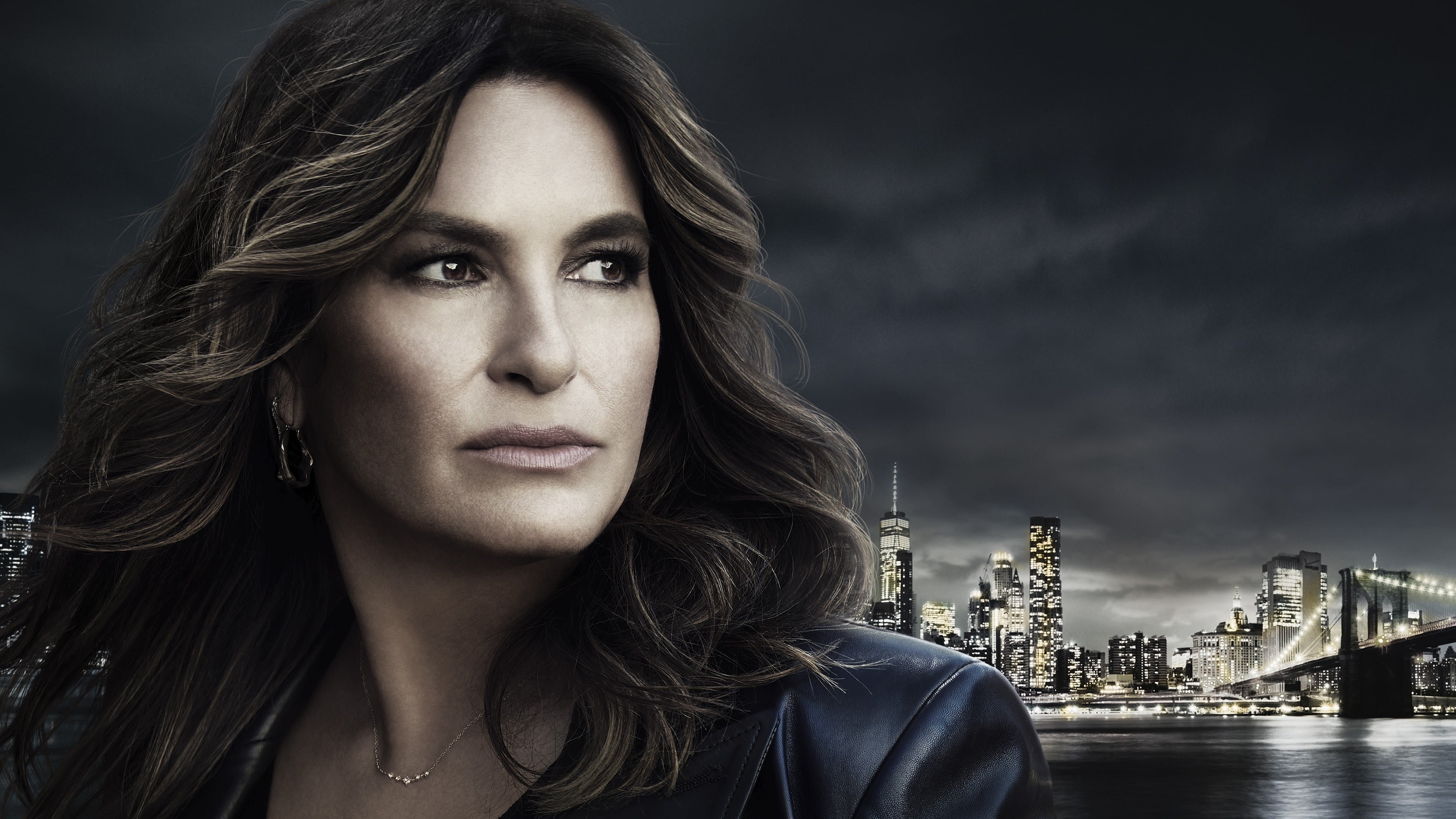Immagine Poster serie TV 6 Law & Order - Unità vittime speciali