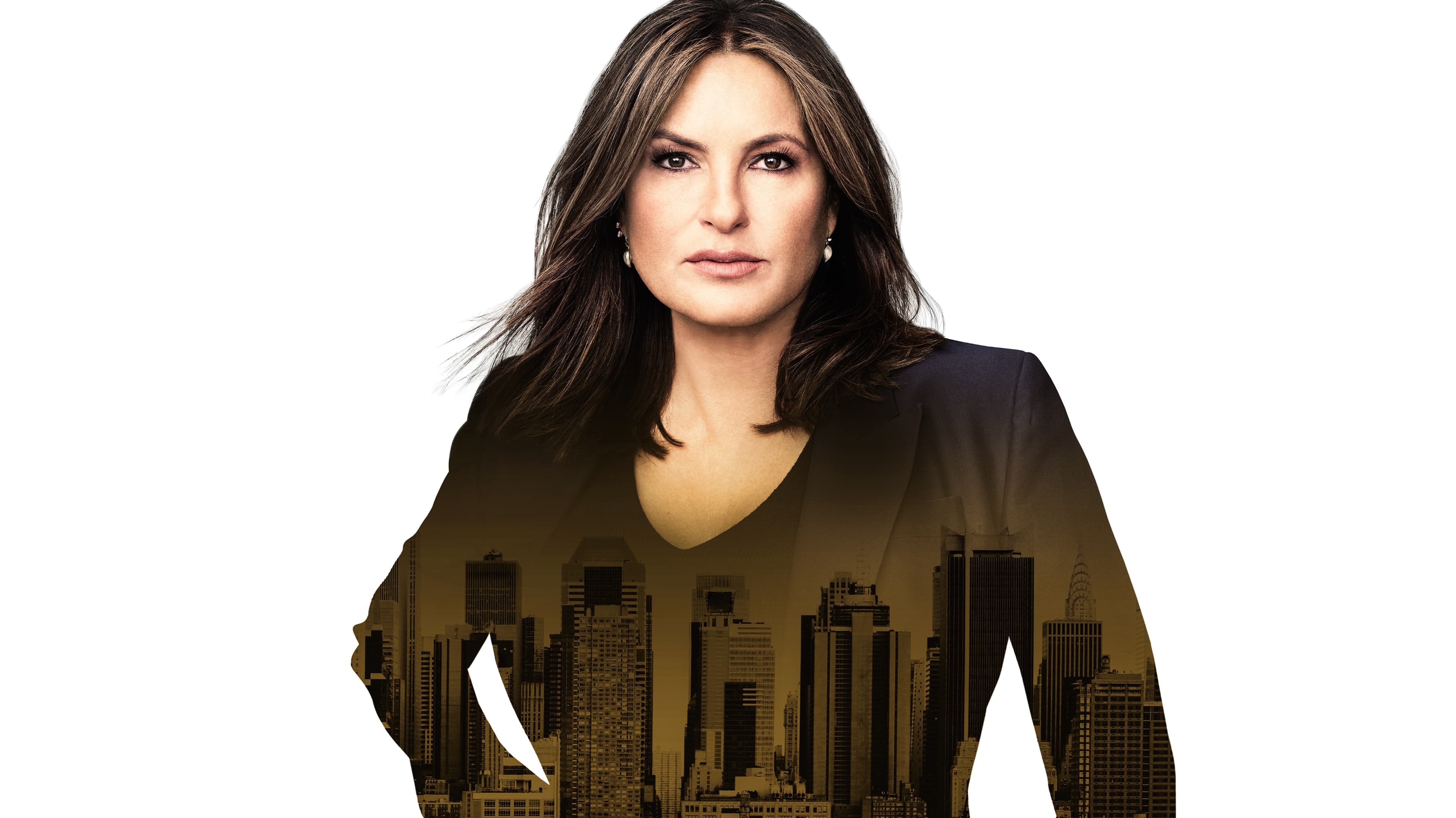 Immagine Poster serie TV 8 Law & Order - Unità vittime speciali