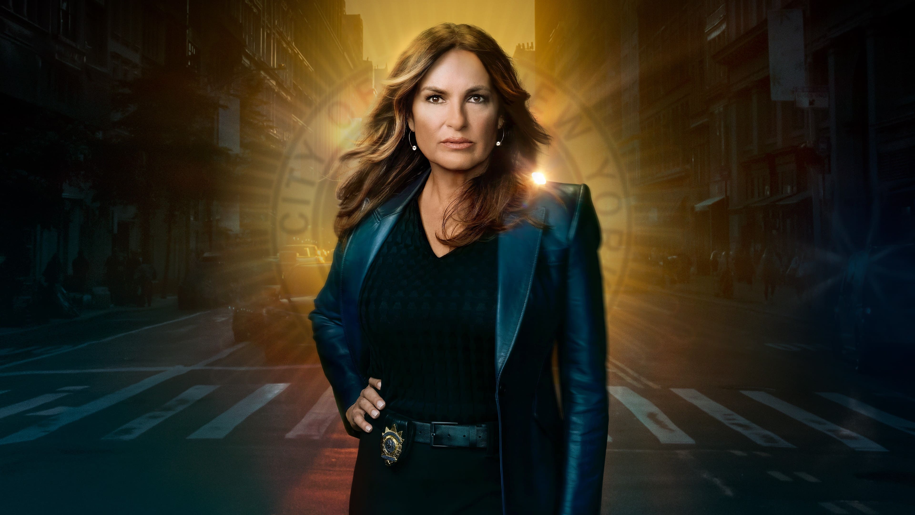 Immagine Poster serie TV 113 Law & Order - Unità vittime speciali