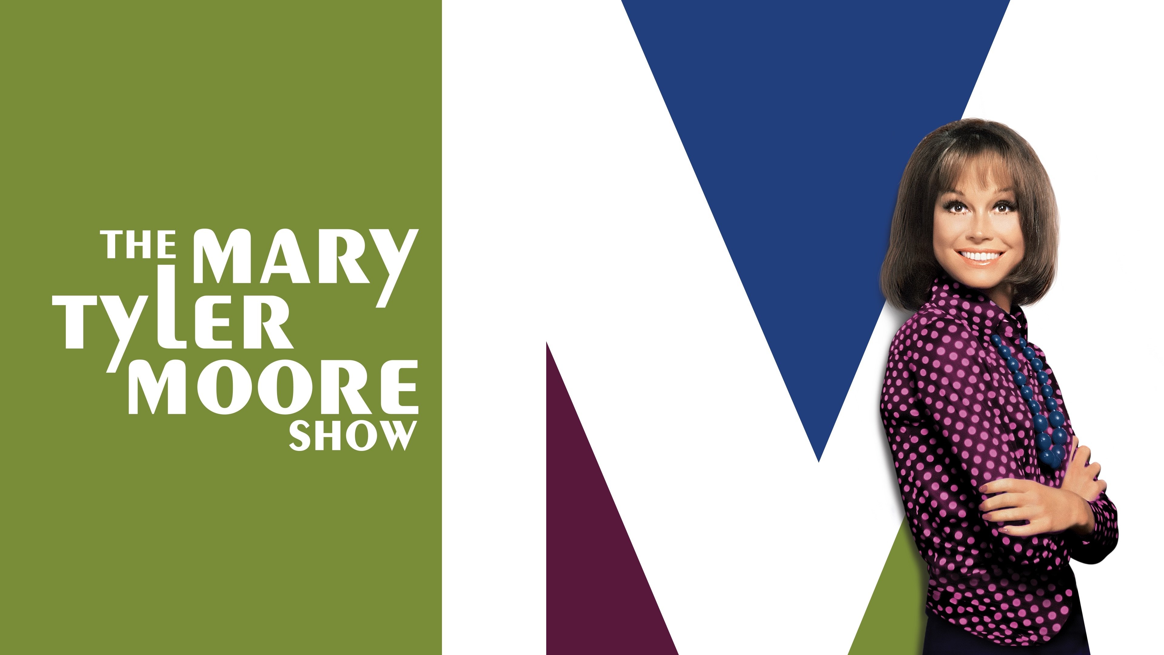 Immagine Poster serie TV 6 Mary Tyler Moore