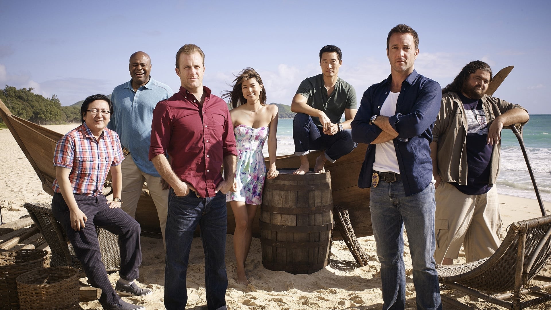 Immagine Poster serie TV 23 Hawaii Five-0