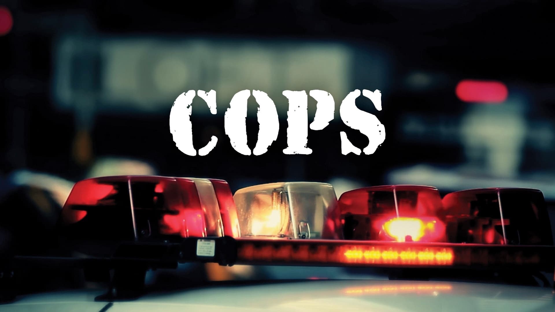 Immagine Poster serie TV 3 Cops