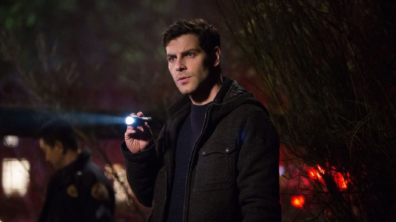Immagine Poster serie TV 53 Grimm
