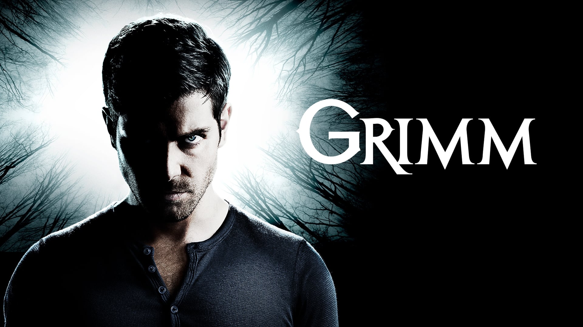 Immagine Poster serie TV 5 Grimm