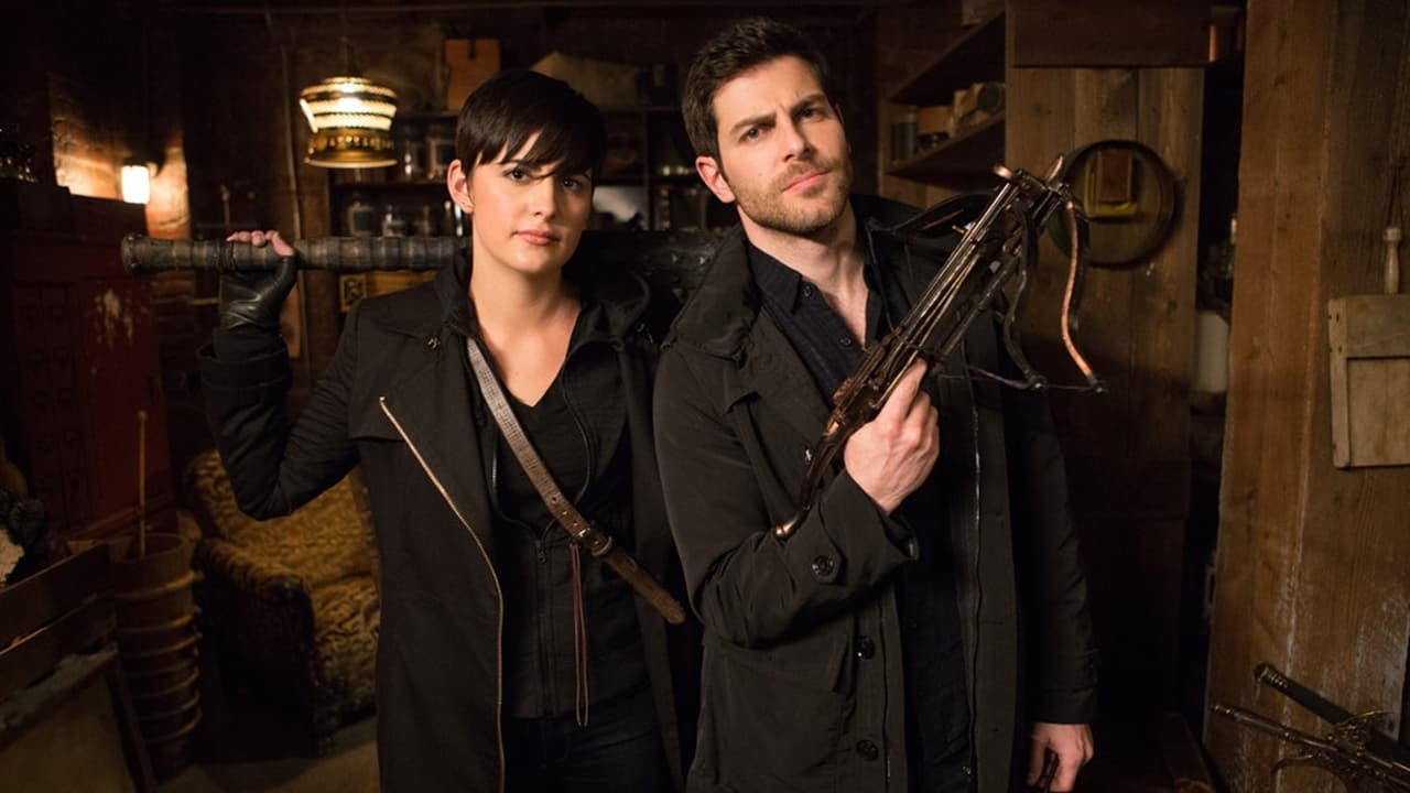 Immagine Poster serie TV 50 Grimm