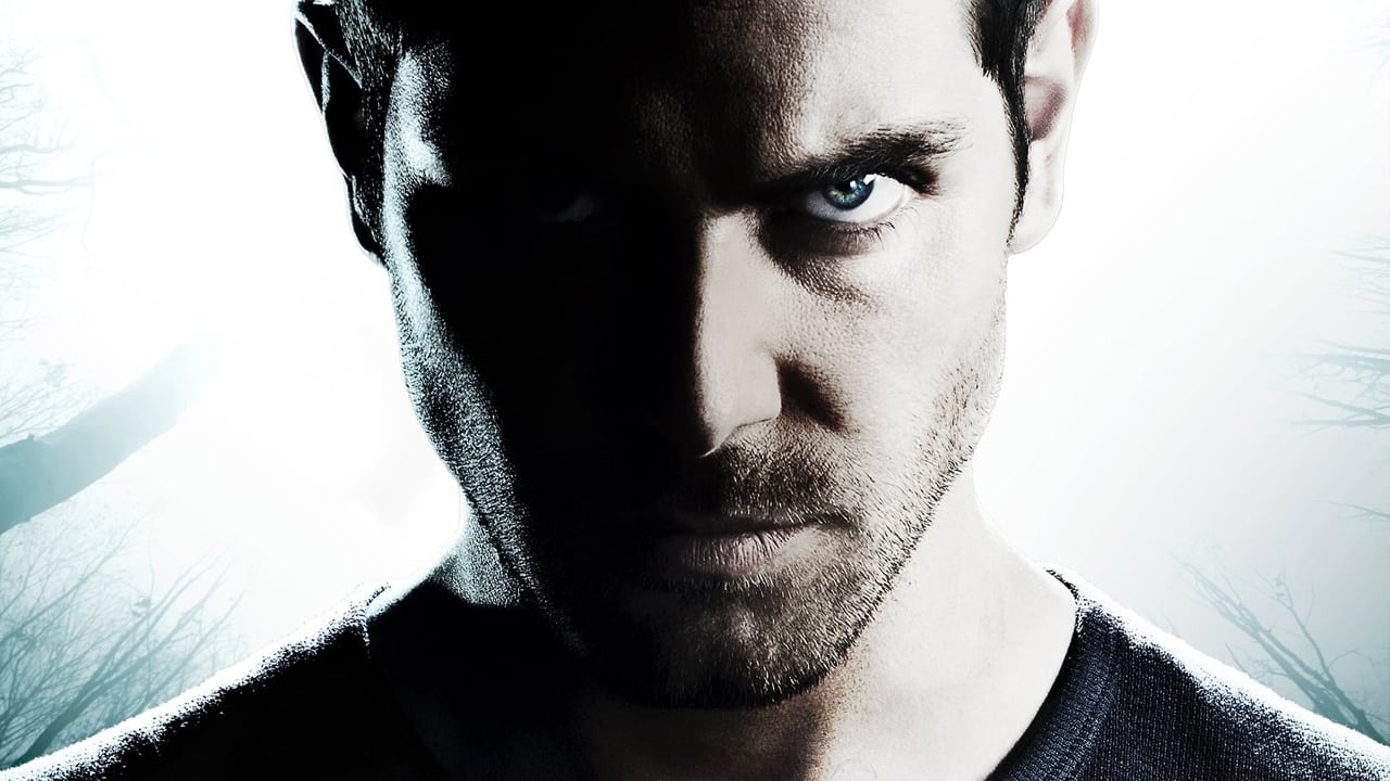 Immagine Poster serie TV 11 Grimm