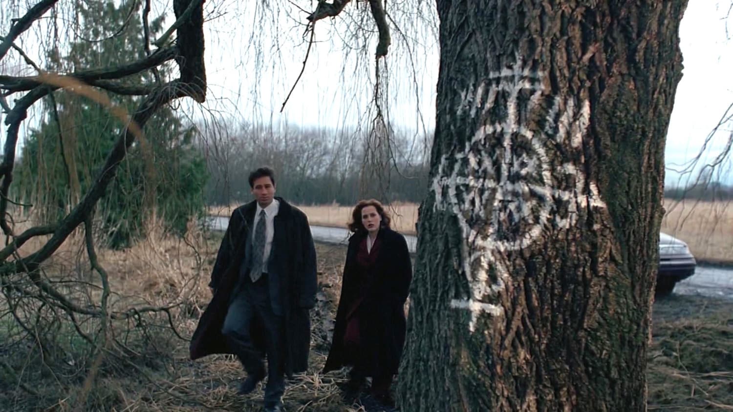 Immagine Poster serie TV 22 X-Files