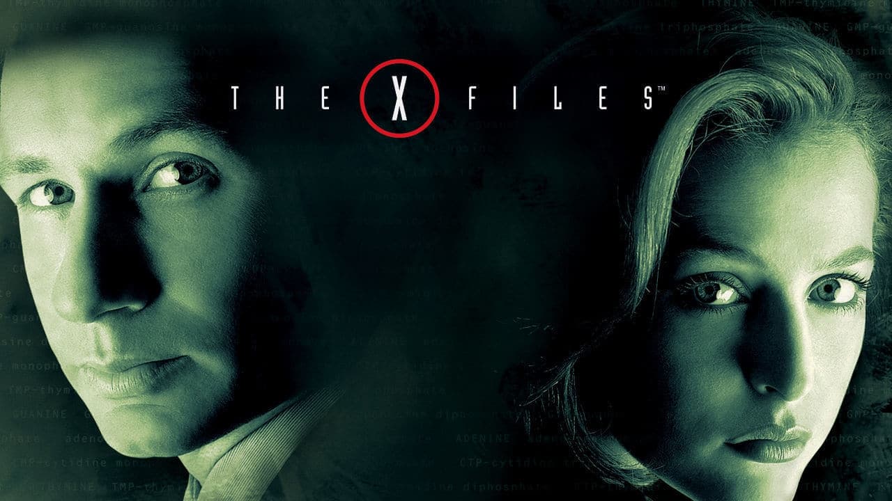 Immagine Poster serie TV 100 X-Files