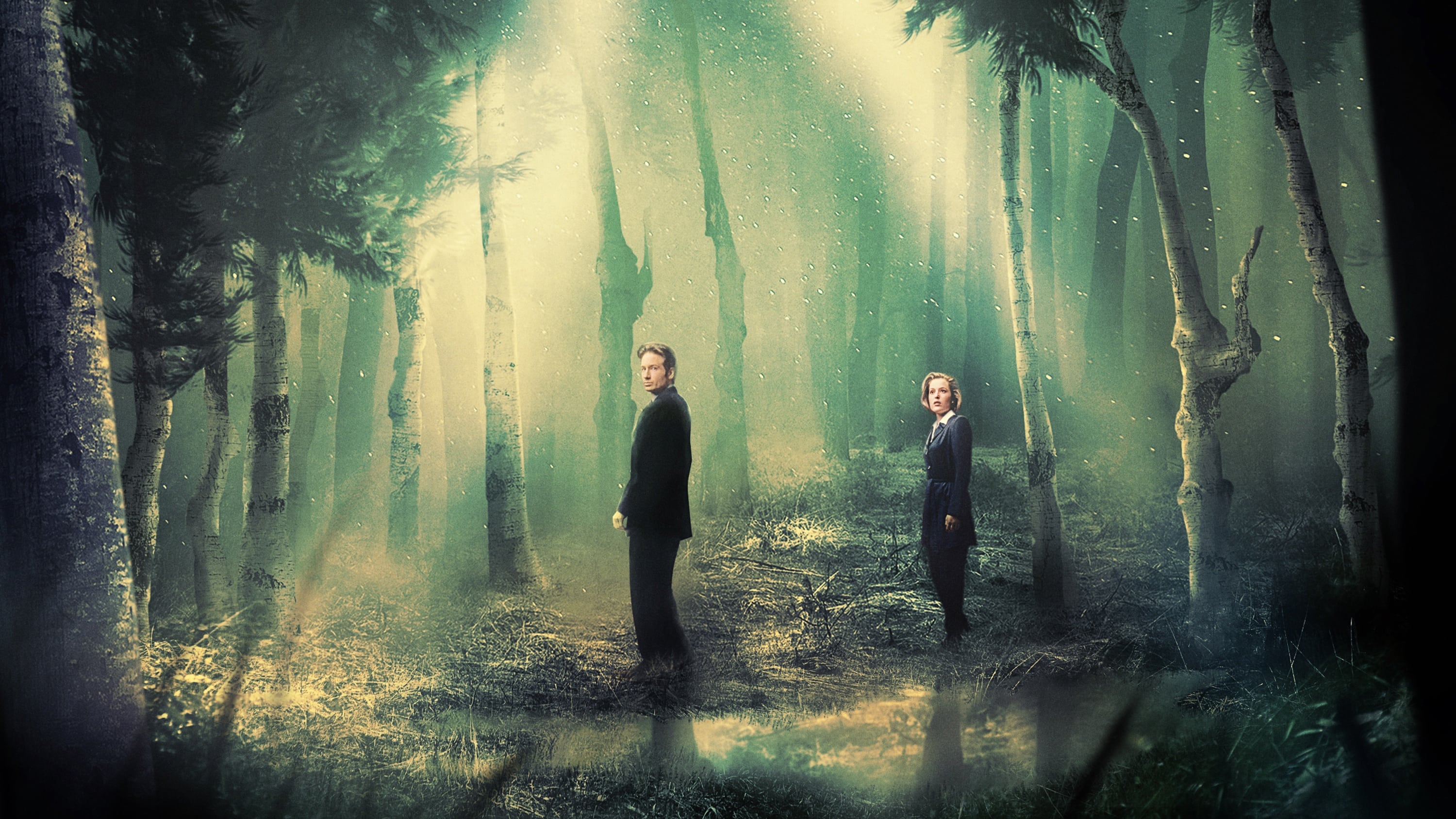 Immagine Poster serie TV 8 X-Files
