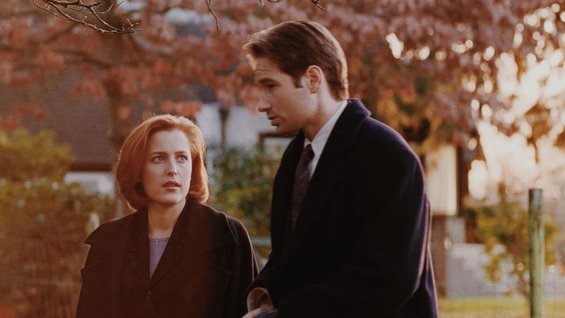 Immagine Poster serie TV 89 X-Files
