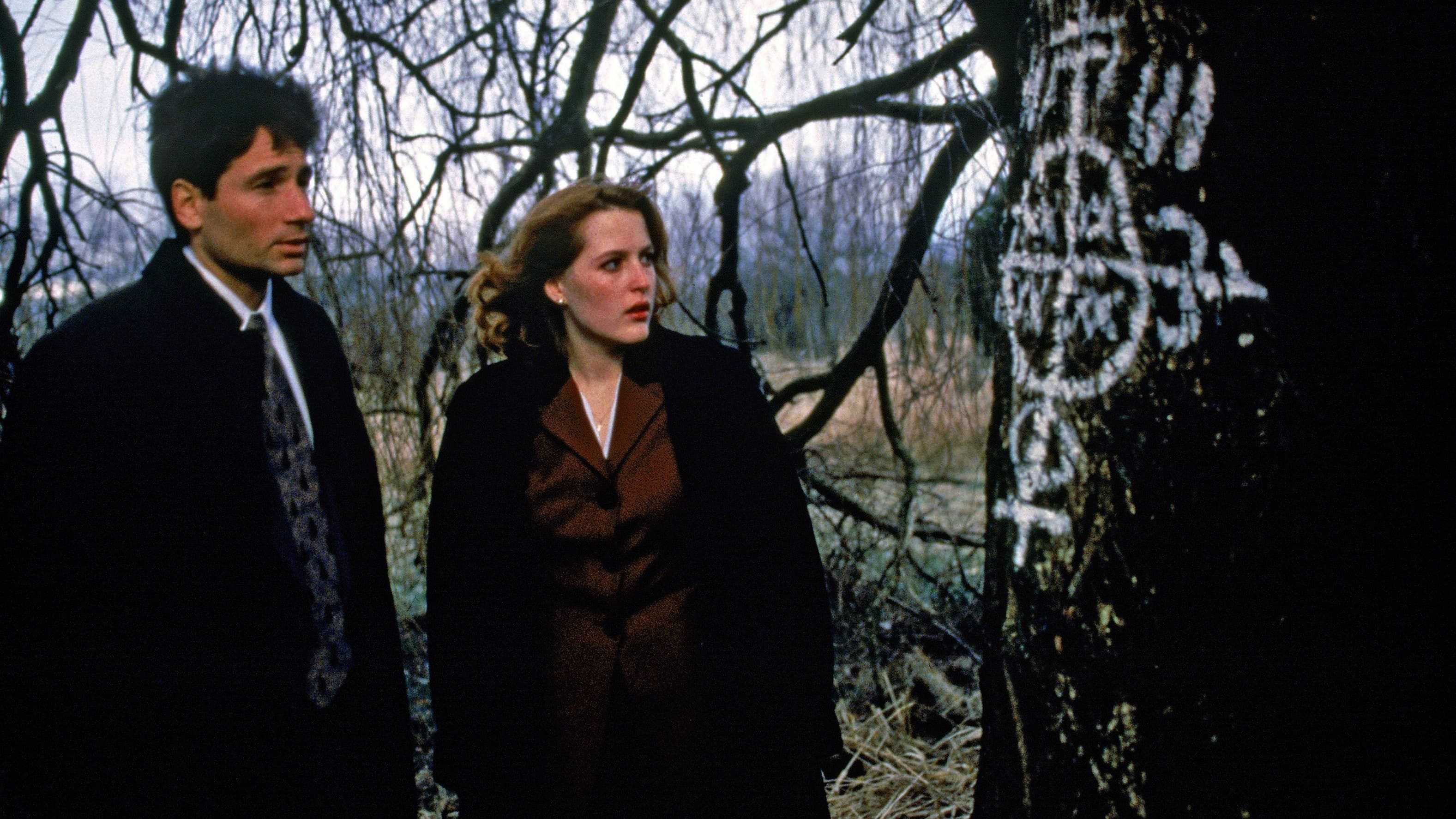 Immagine Poster serie TV 143 X-Files