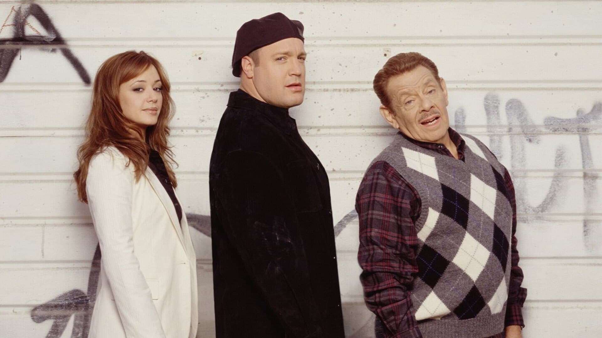 Immagine Poster serie TV 19 The King of Queens