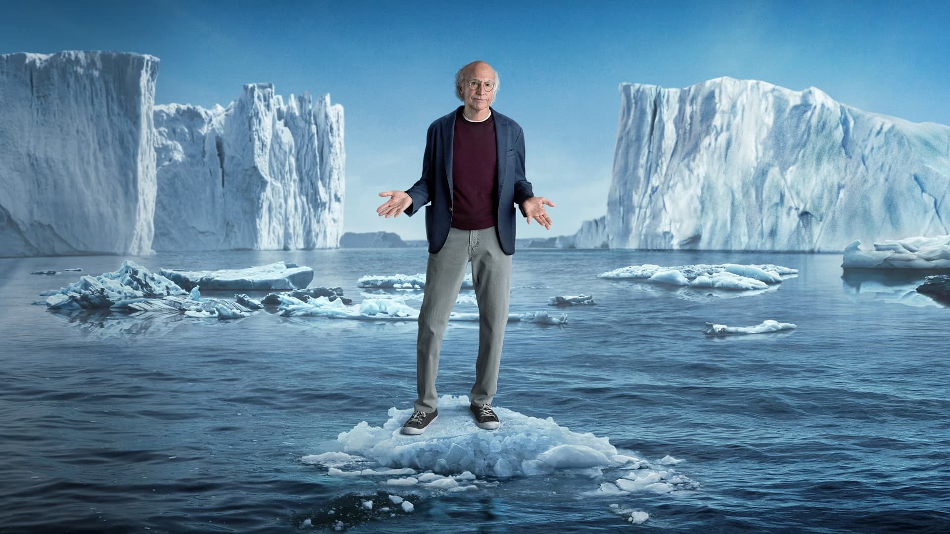 Immagine Poster serie TV 8 Curb Your Enthusiasm