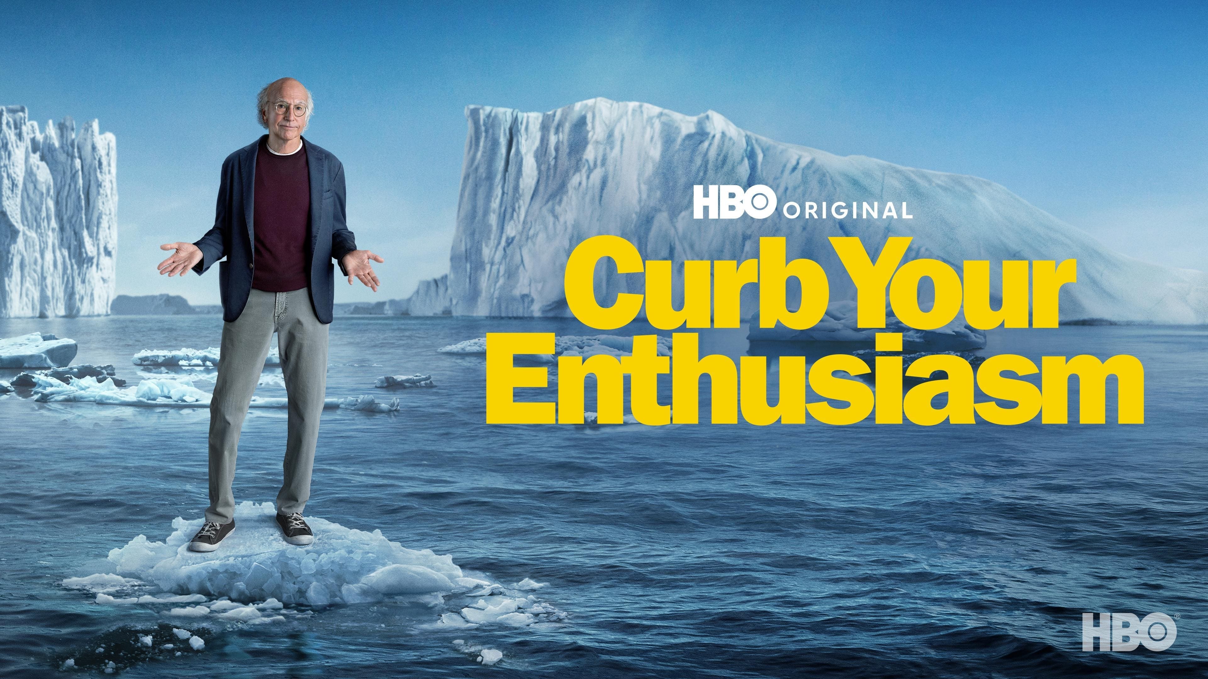 Immagine Poster serie TV 46 Curb Your Enthusiasm