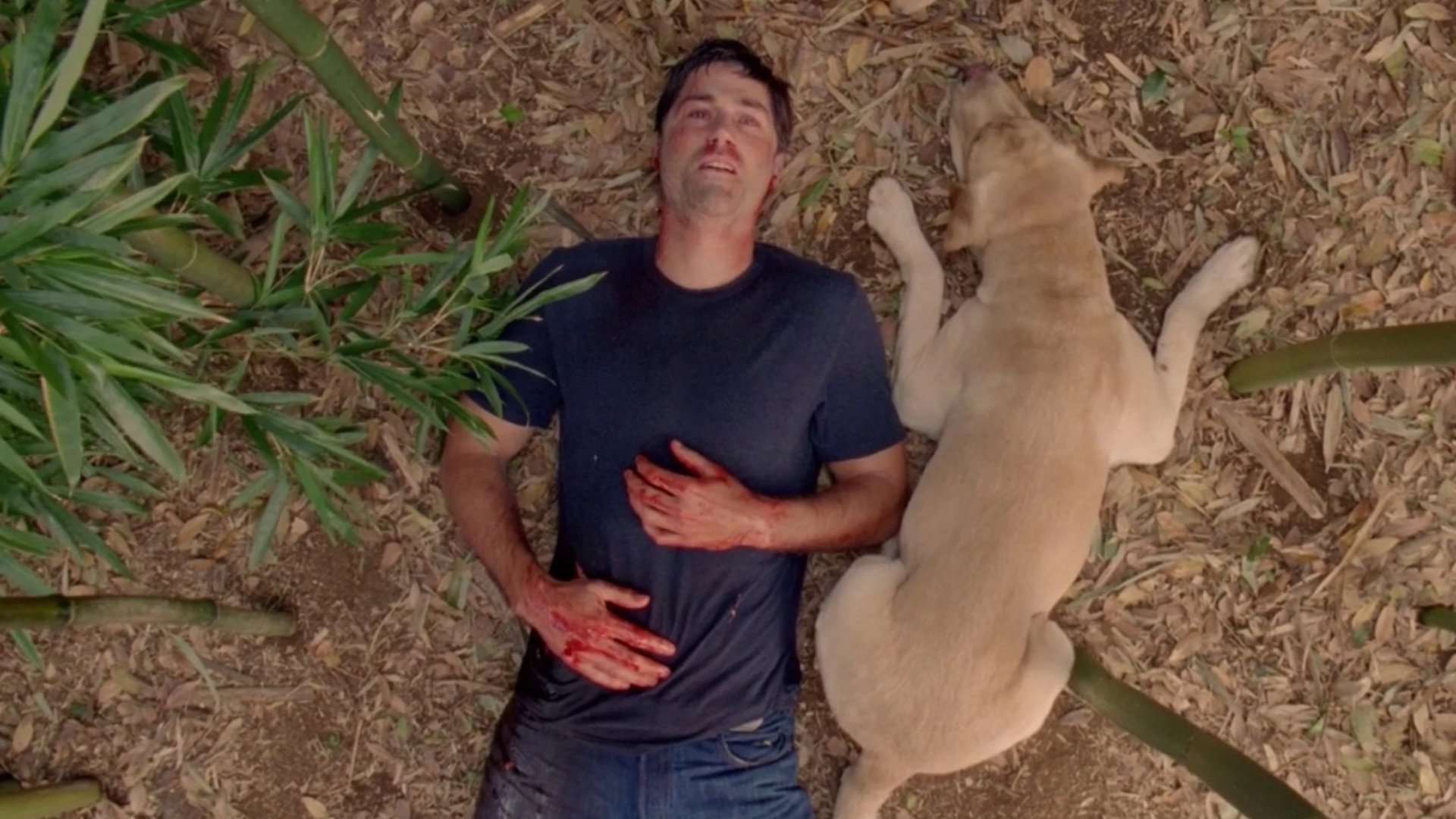 Immagine Poster serie TV 88 Lost