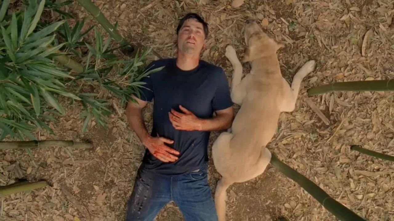 Immagine Poster serie TV 86 Lost