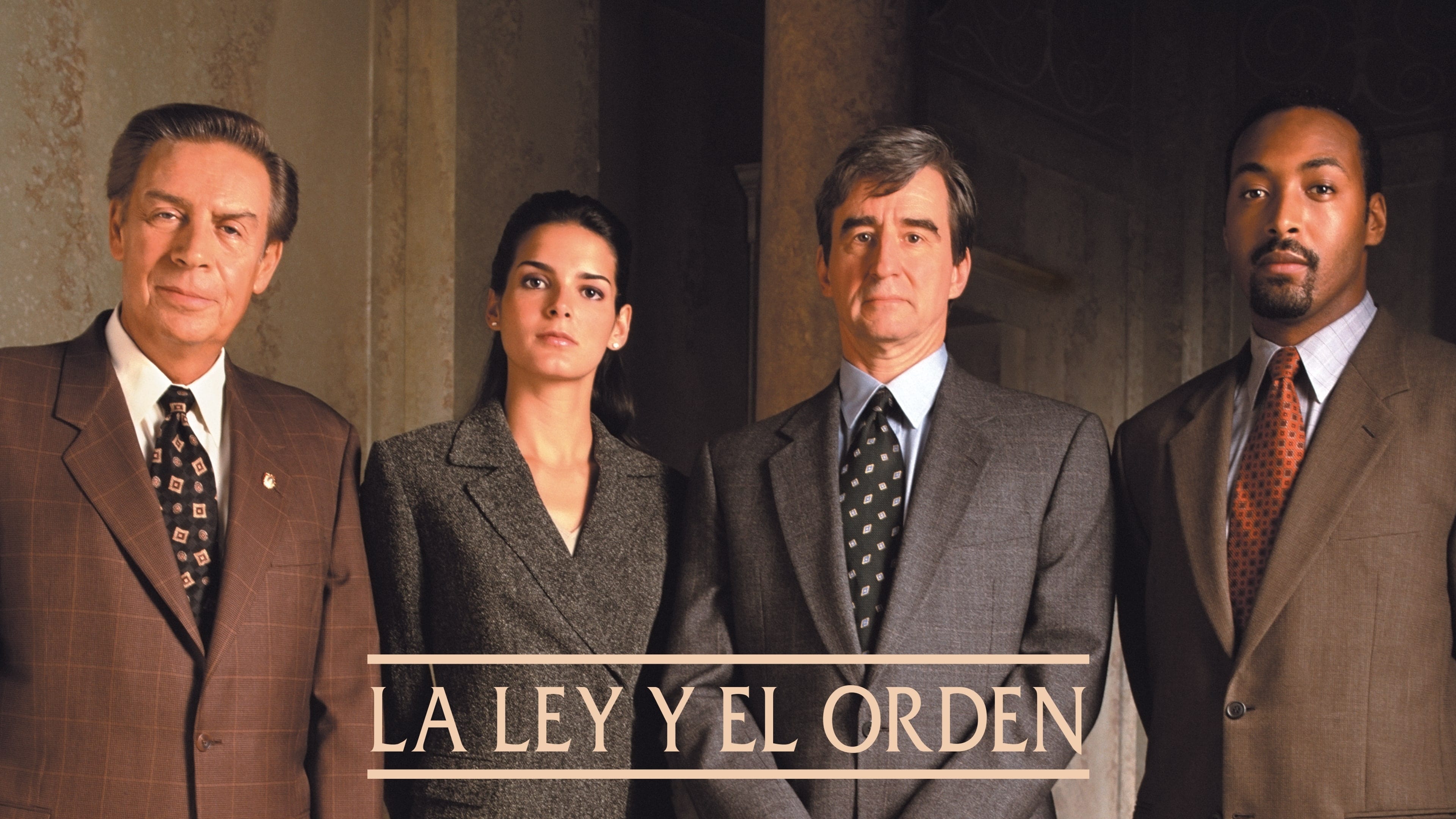 Immagine Poster serie TV 76 Law & Order - I due volti della giustizia