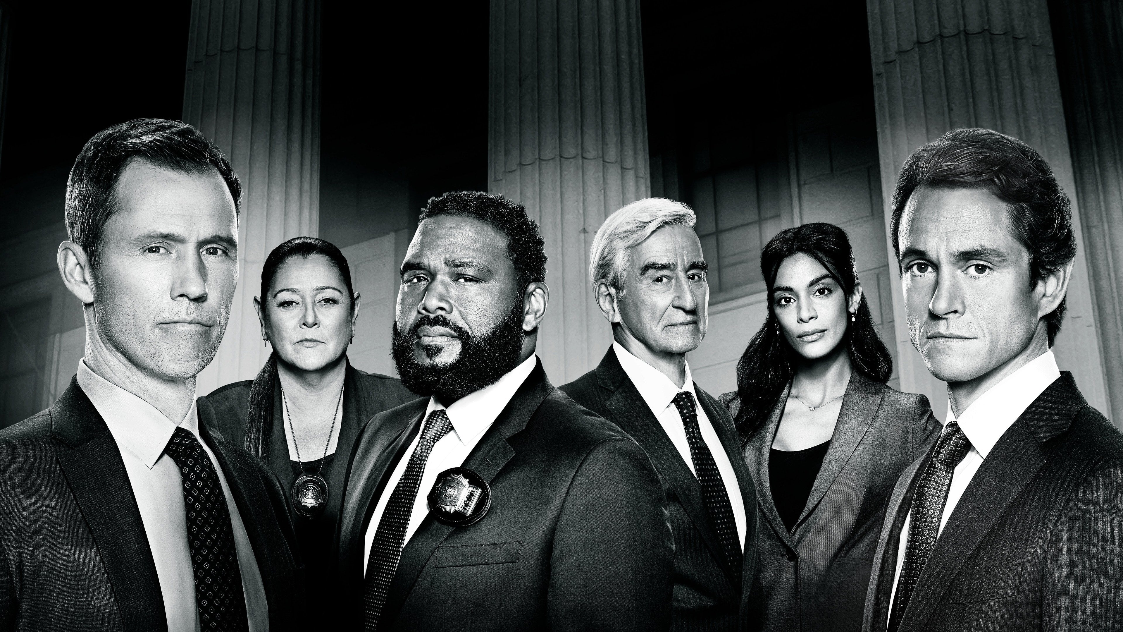 Immagine Poster serie TV 9 Law & Order - I due volti della giustizia