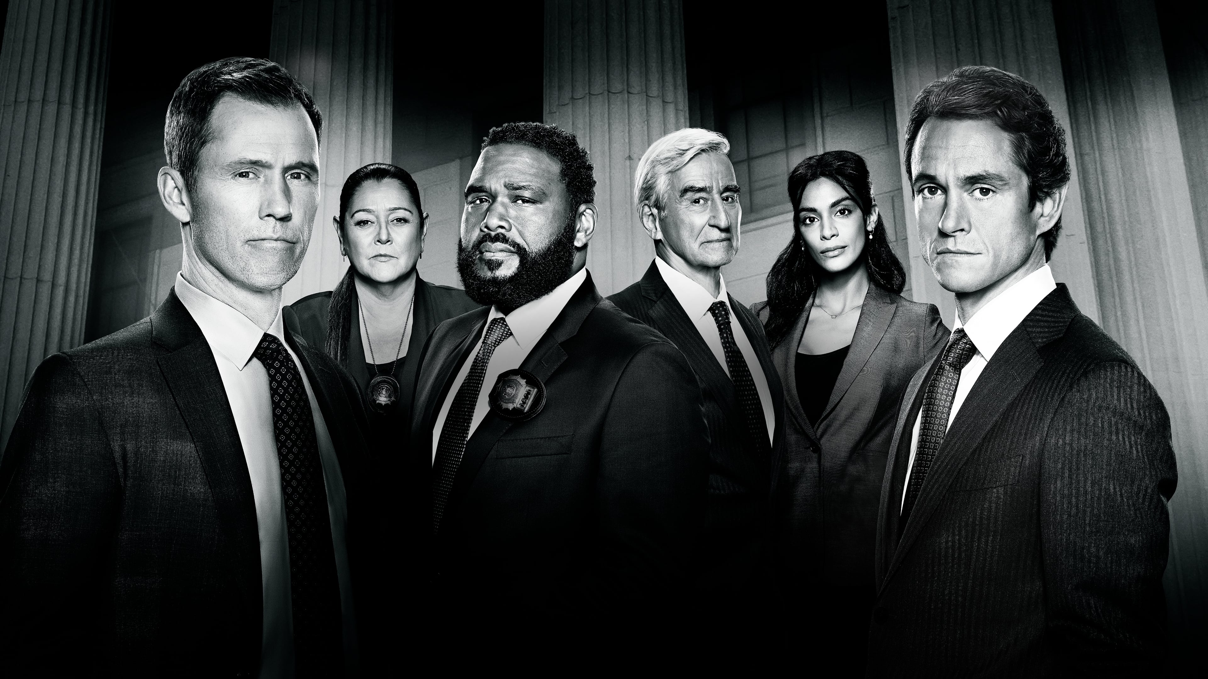 Immagine Poster serie TV 12 Law & Order - I due volti della giustizia