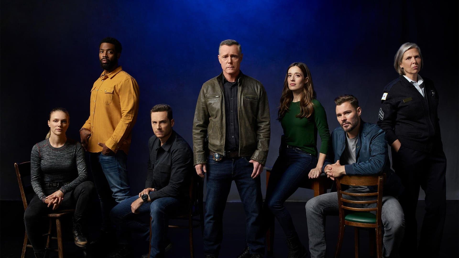 Immagine Poster serie TV 17 Chicago P.D.