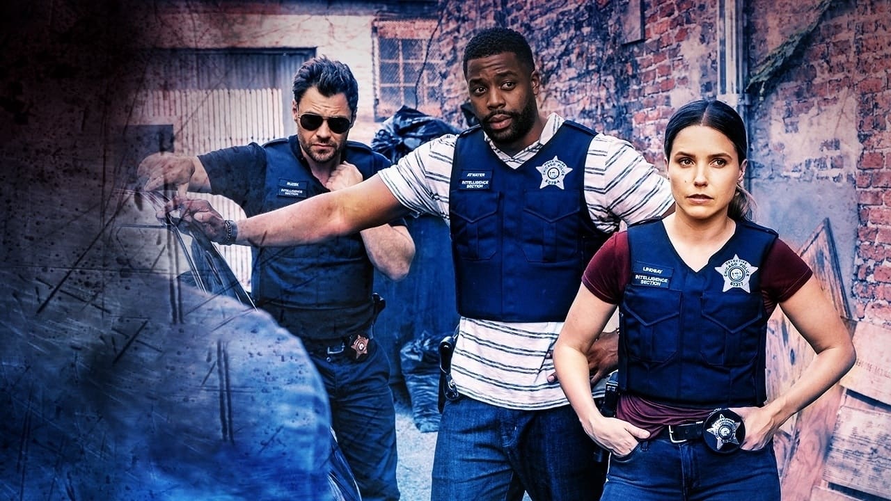 Immagine Poster serie TV 54 Chicago P.D.