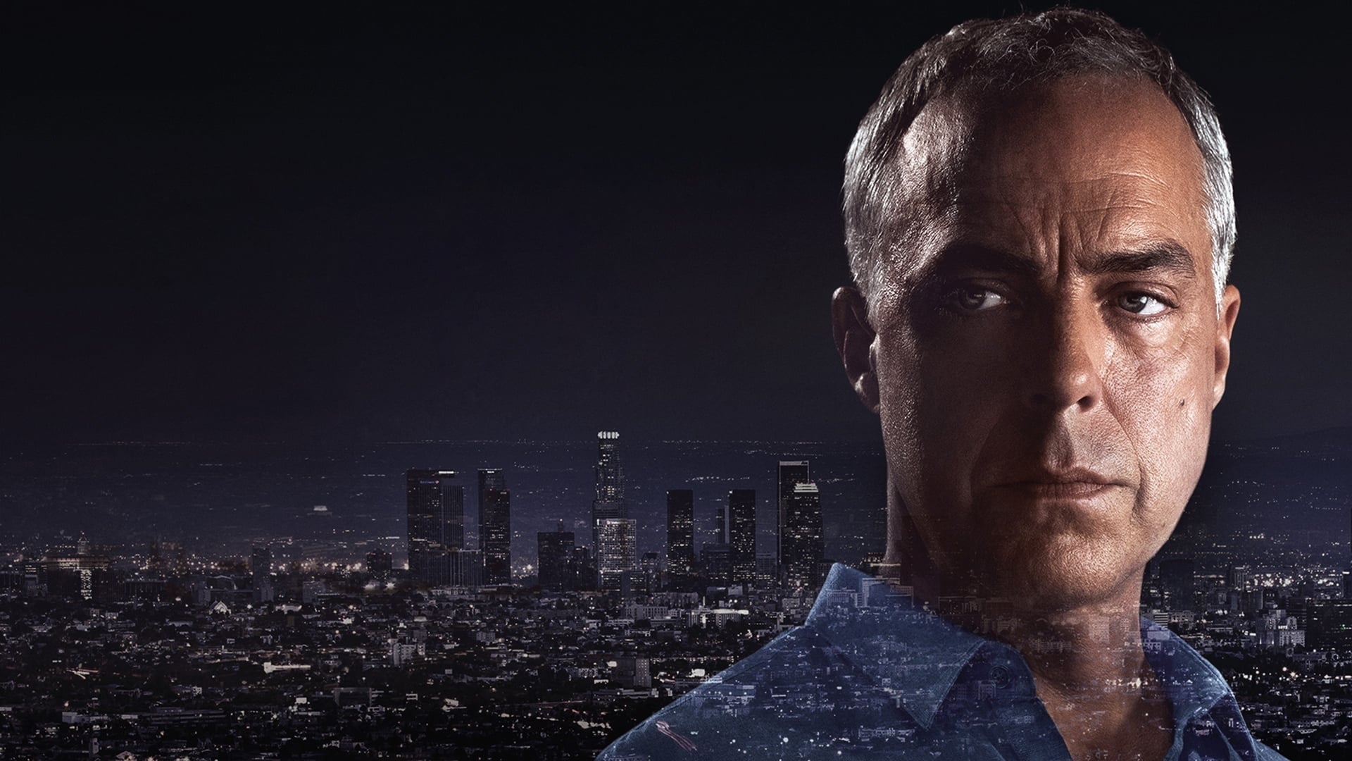 Immagine Poster serie TV 6 Bosch