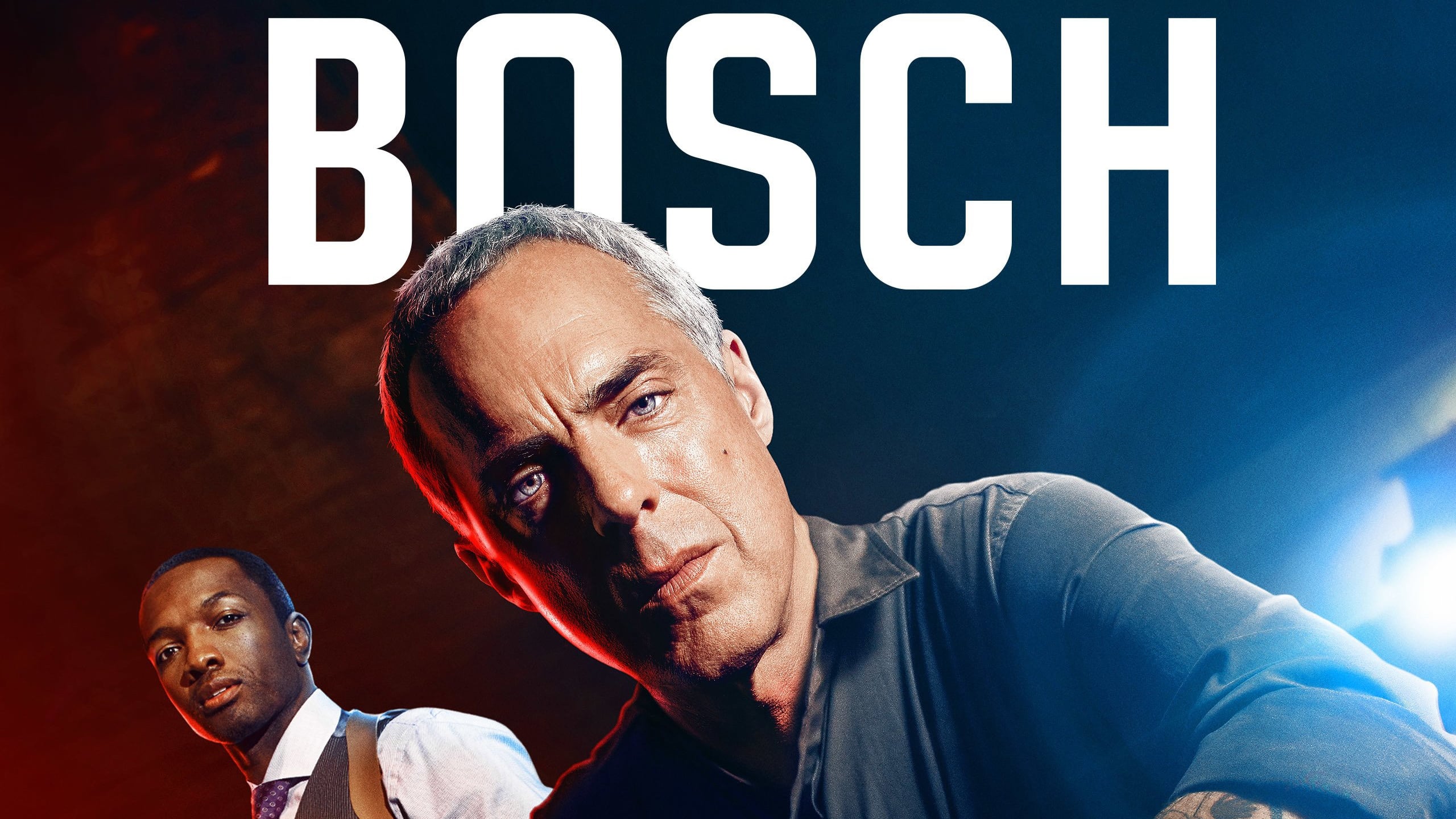 Immagine Poster serie TV 15 Bosch