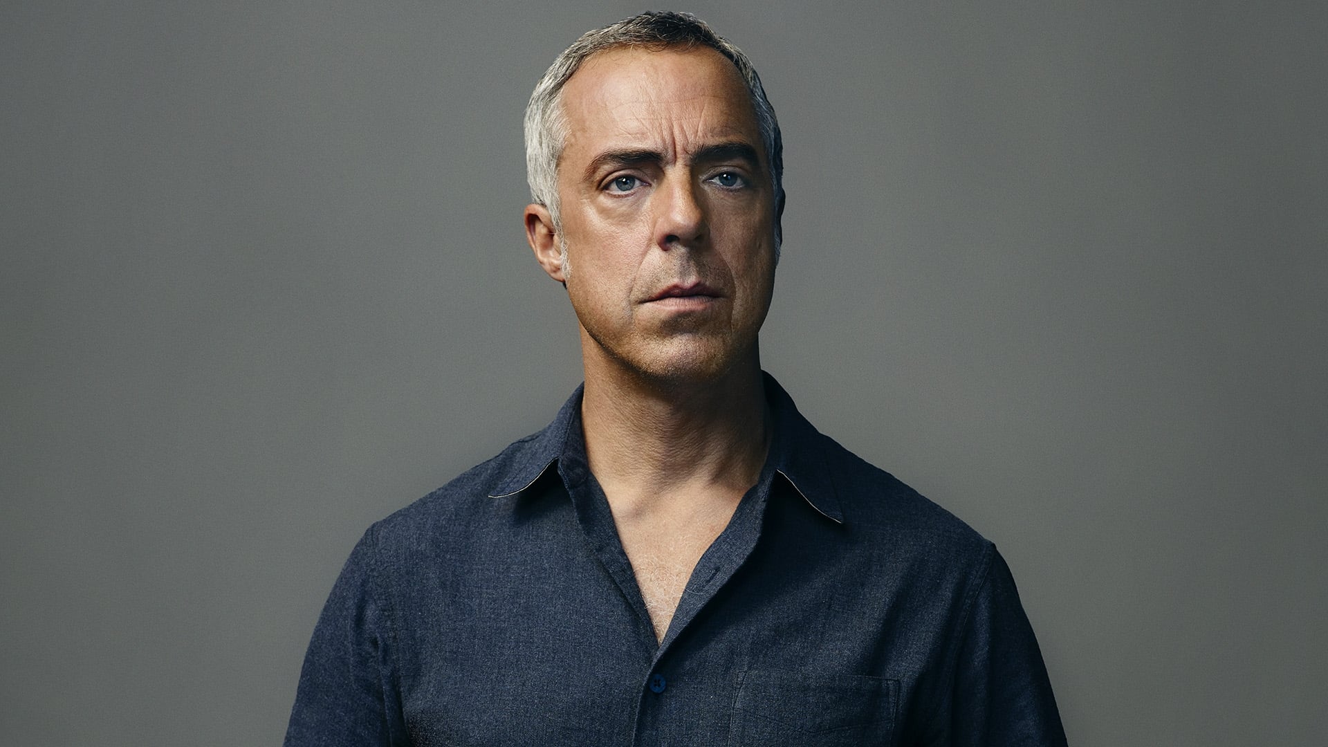 Immagine Poster serie TV 23 Bosch