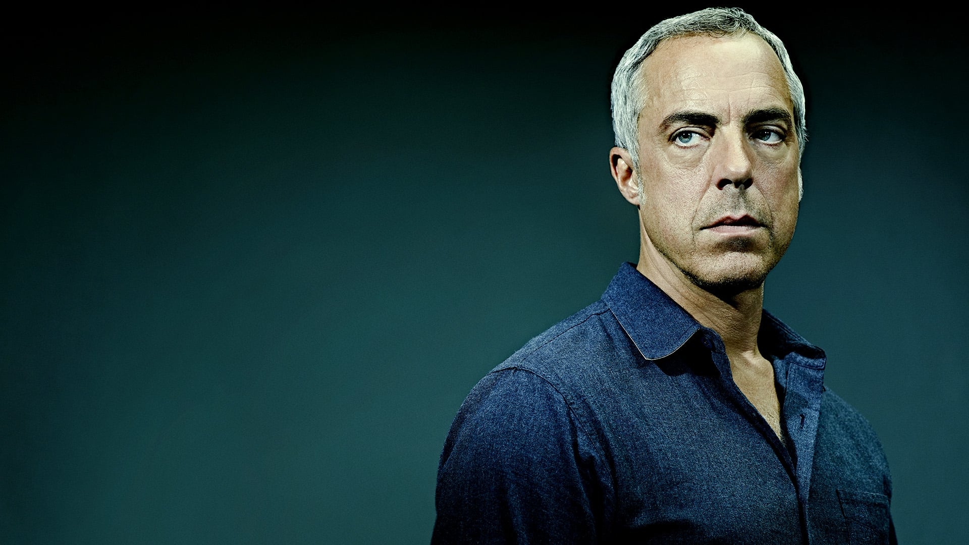 Immagine Poster serie TV 22 Bosch