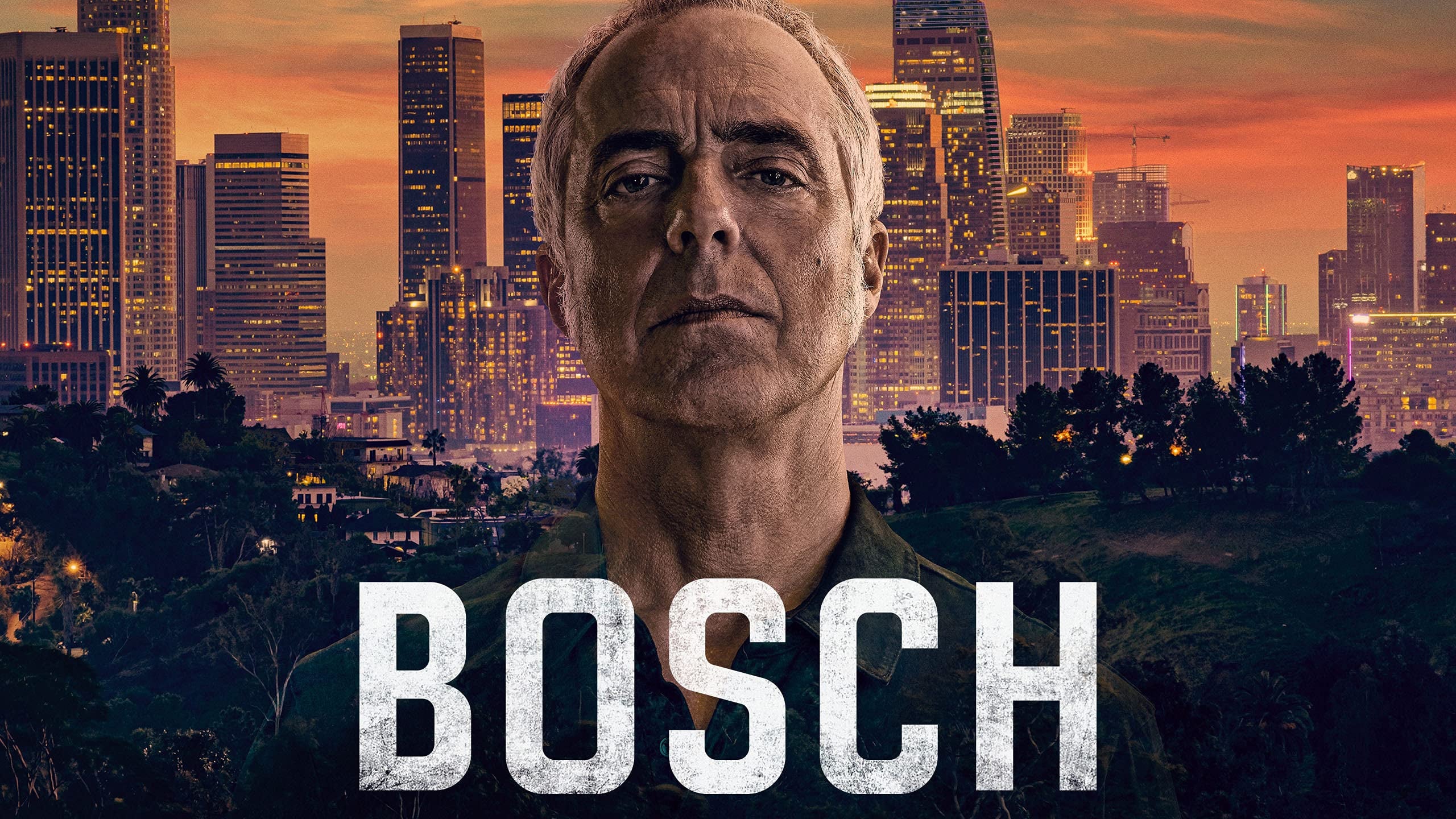 Immagine Poster serie TV 25 Bosch