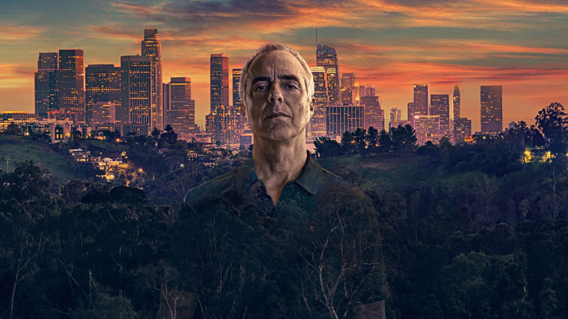 Immagine Poster serie TV 7 Bosch