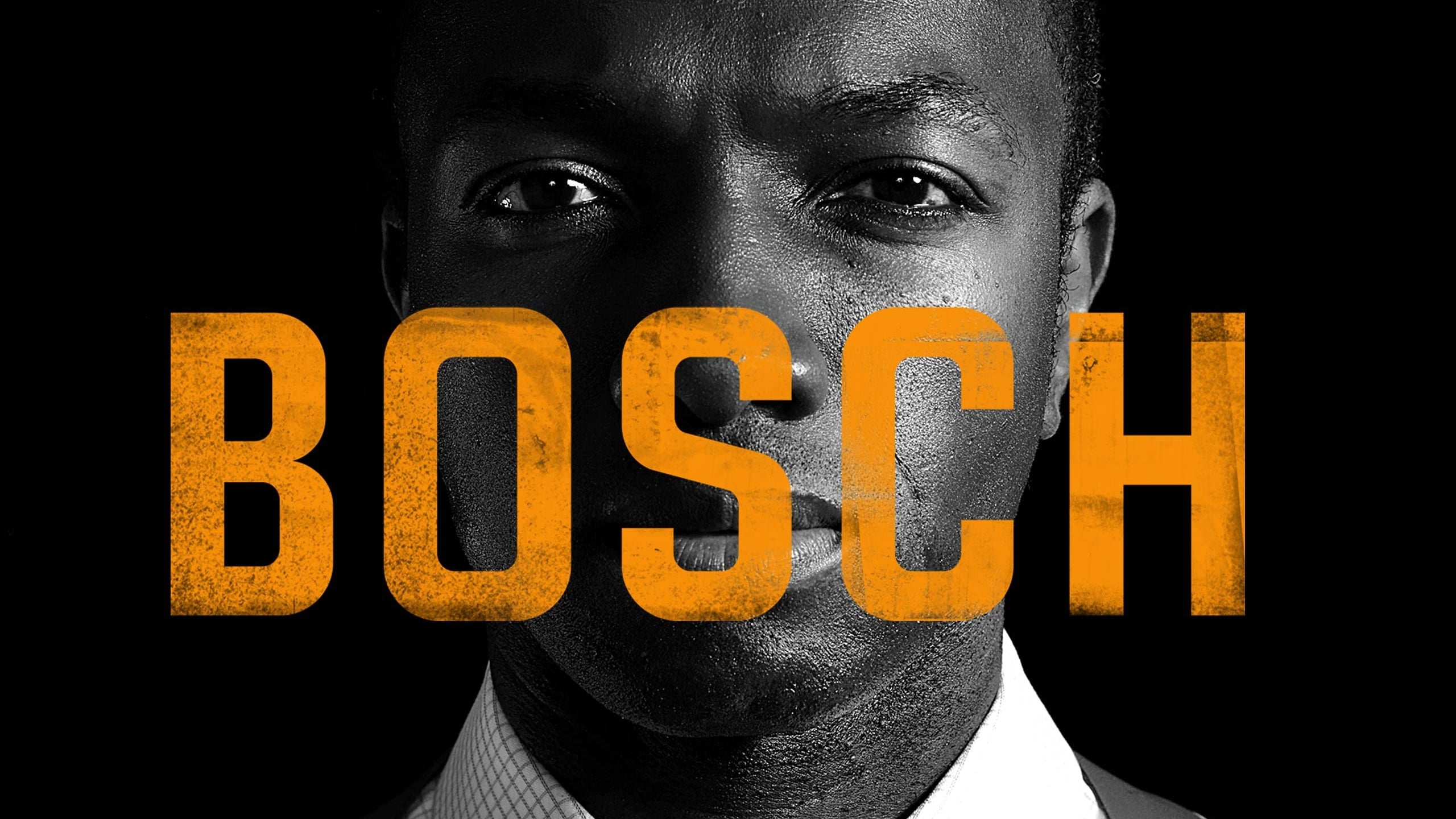 Immagine Poster serie TV 18 Bosch