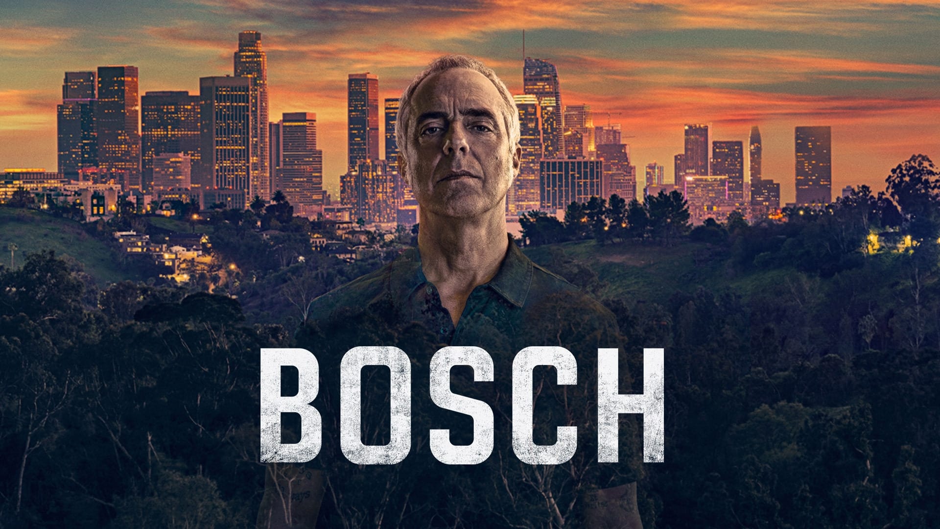 Immagine Poster serie TV 11 Bosch