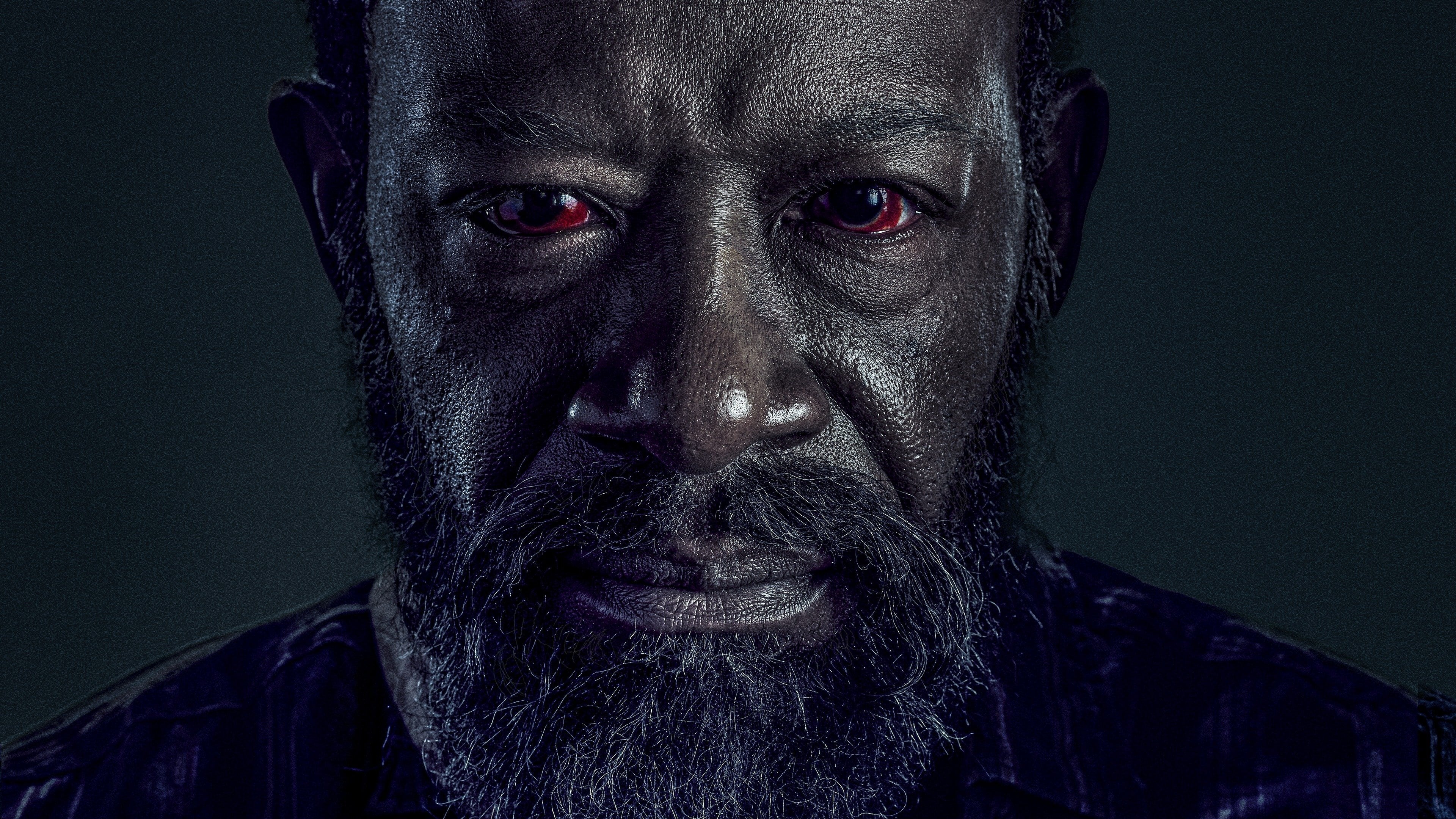 Immagine Poster serie TV 11 Fear the Walking Dead